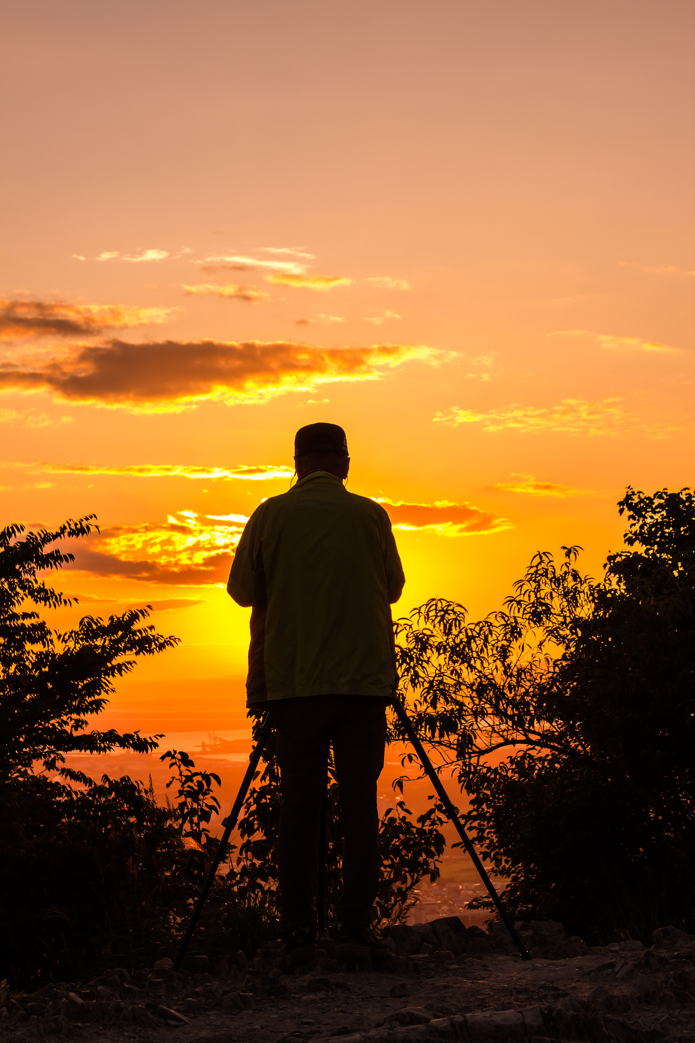 提笔时,窗外的雨正敲打着玻璃,像极