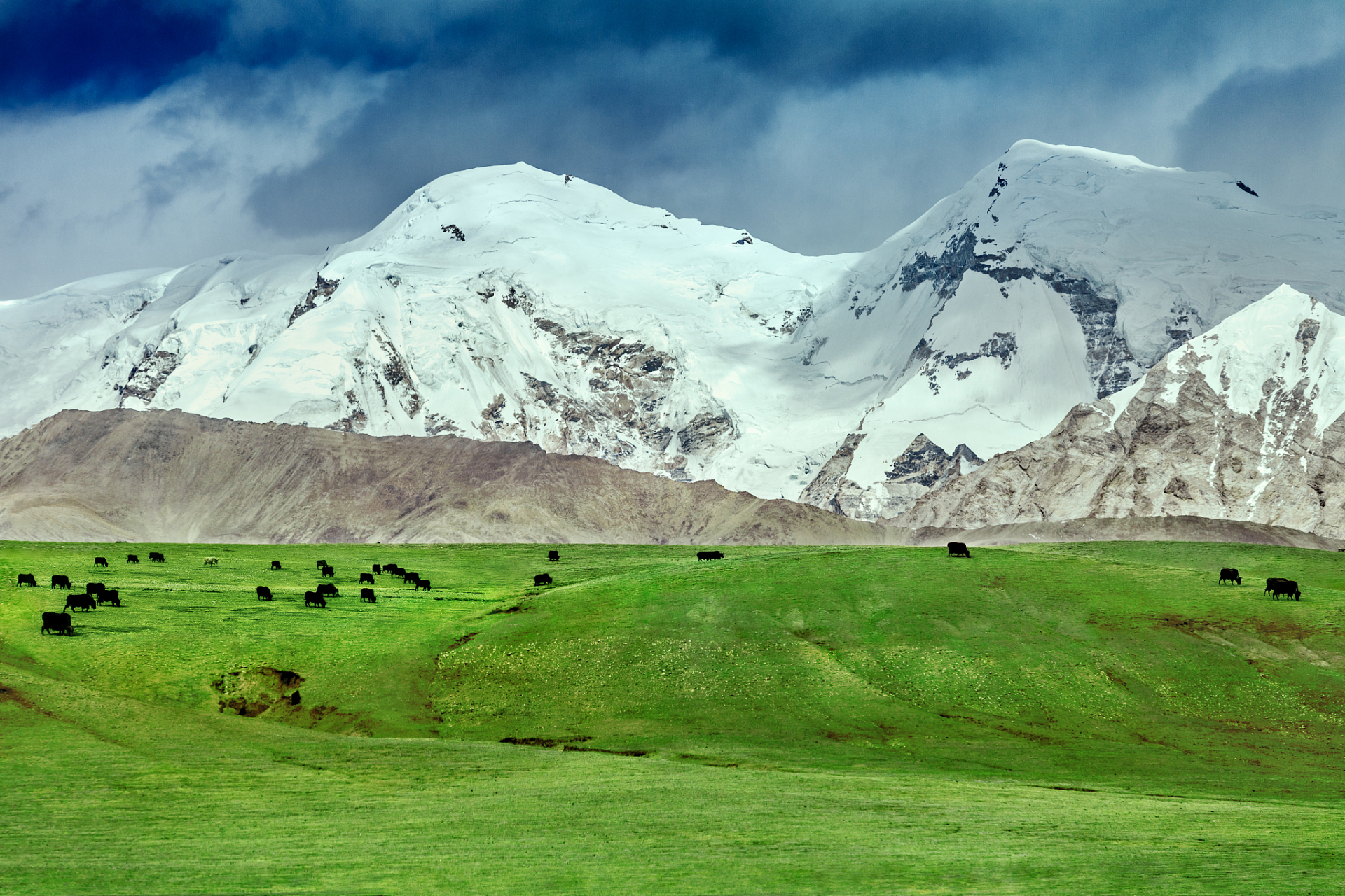 青藏高原上是不是矿产很少?