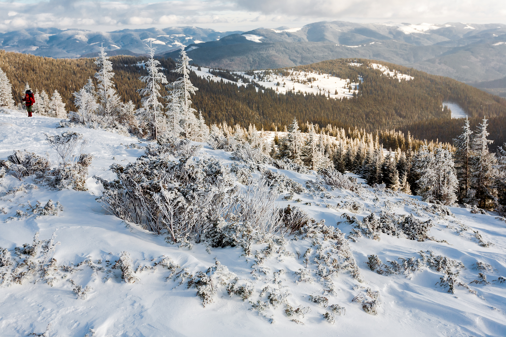 重庆武隆仙女山的雪景,是否让你感受到了冬日的浪漫?