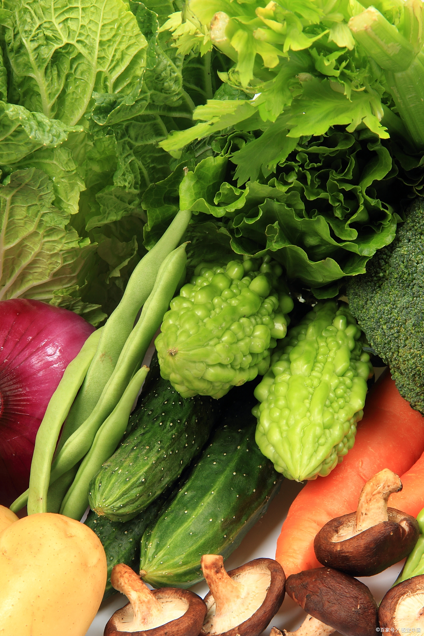 蔬菜蔬菜壁纸菜蔬菜的照片蔬菜类图片应季蔬菜图片菜类大全蔬菜图片