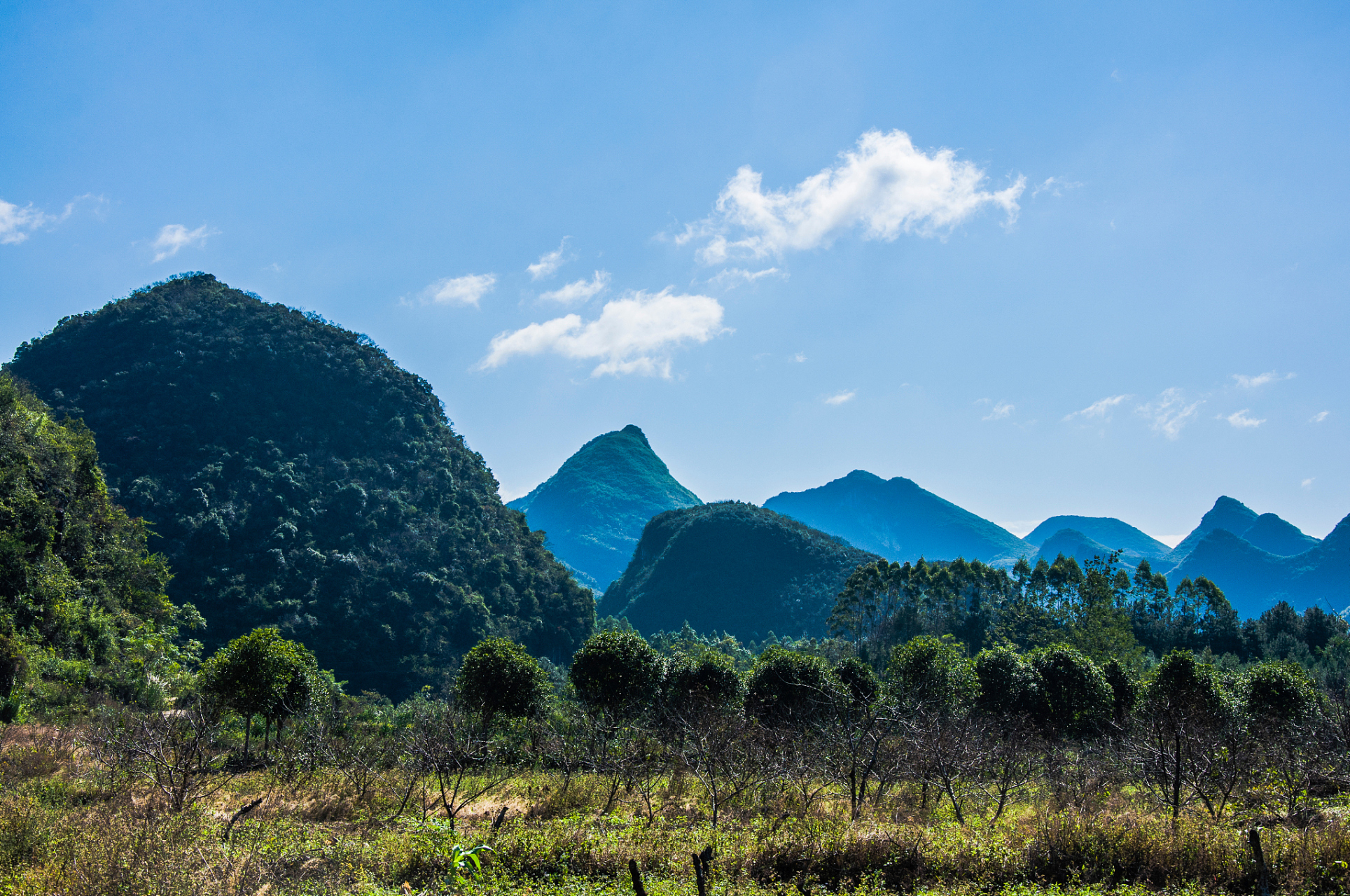 翠绿山脉,碧波湖泊,广袤森林,勾勒出自然宝库.