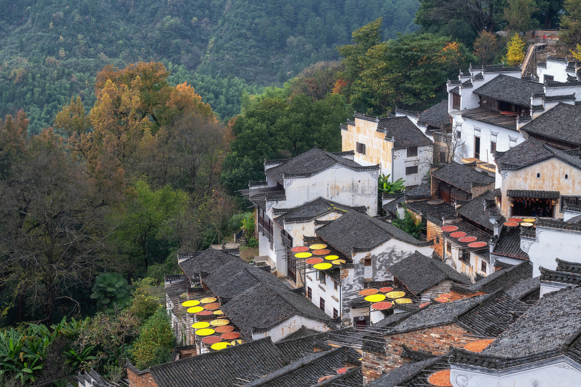 江西屏山景区,位于风景如画的江南水乡,这里山水相依,景色宜人,是旅游