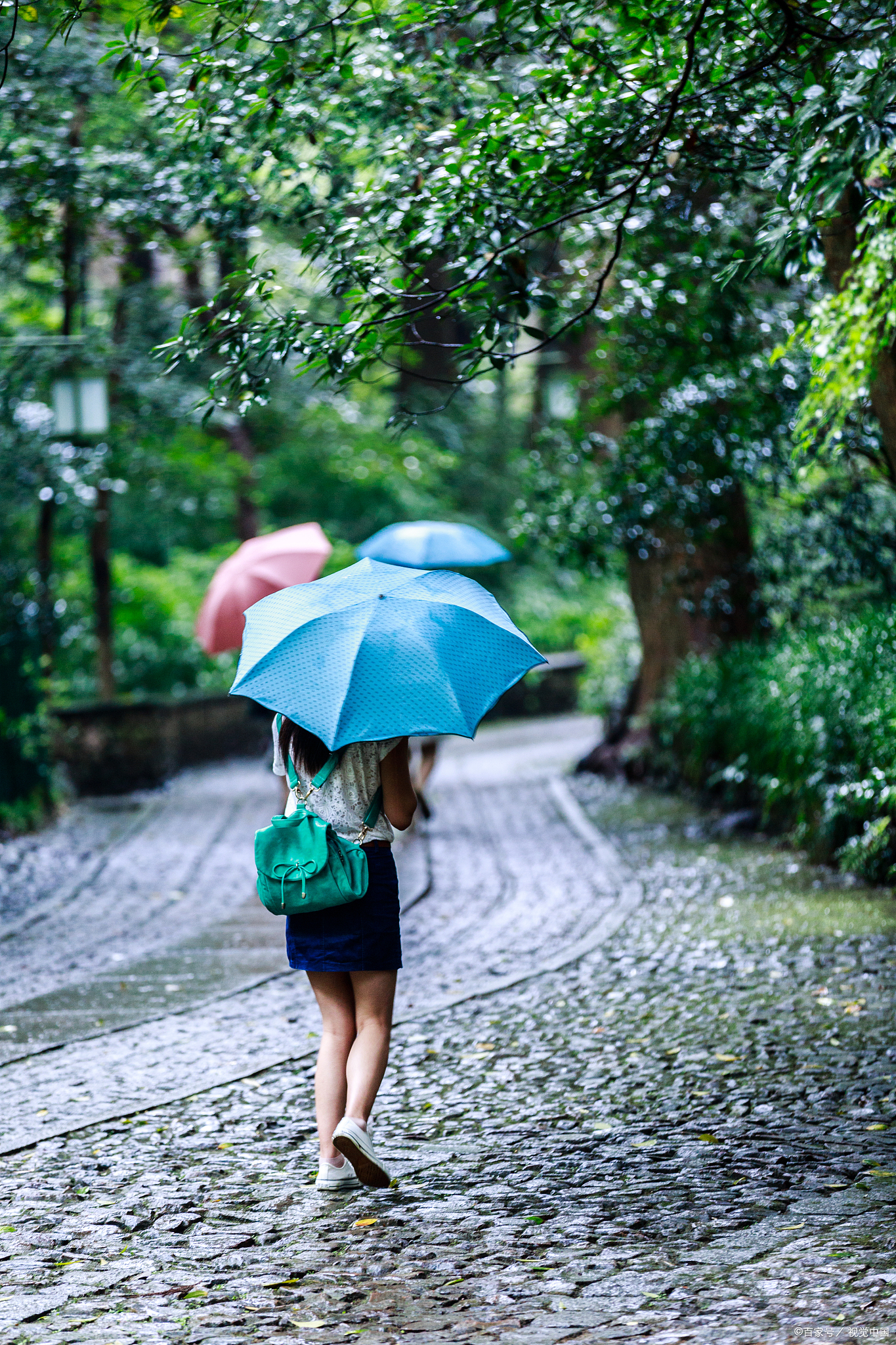 曾记得,那次在雨中的漫步,伞下的我们相视而笑,雨水