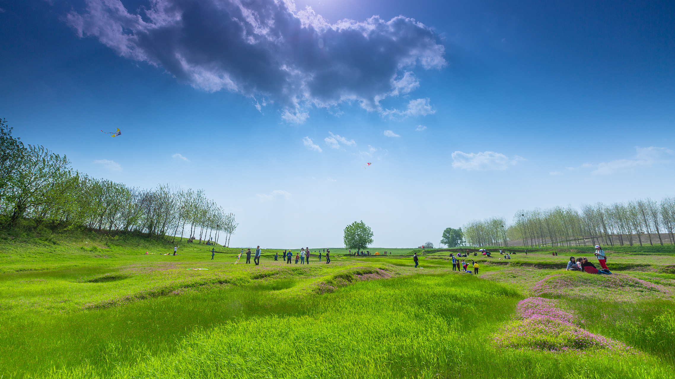 瑶湖郊野森林公园,春日野穹,绿意盎然.