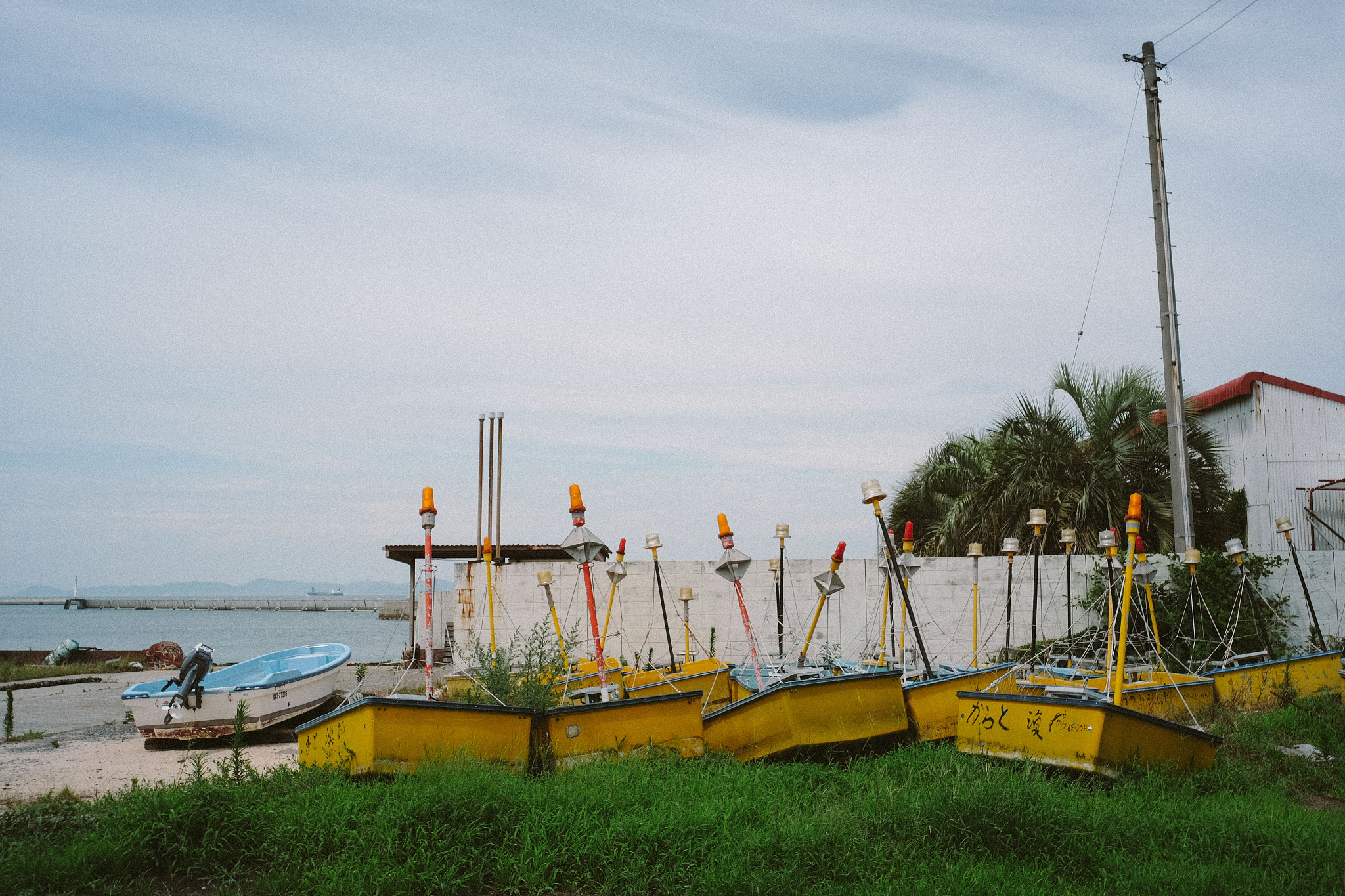 汕头市海滨公园有什么特色?适合带孩子玩吗?