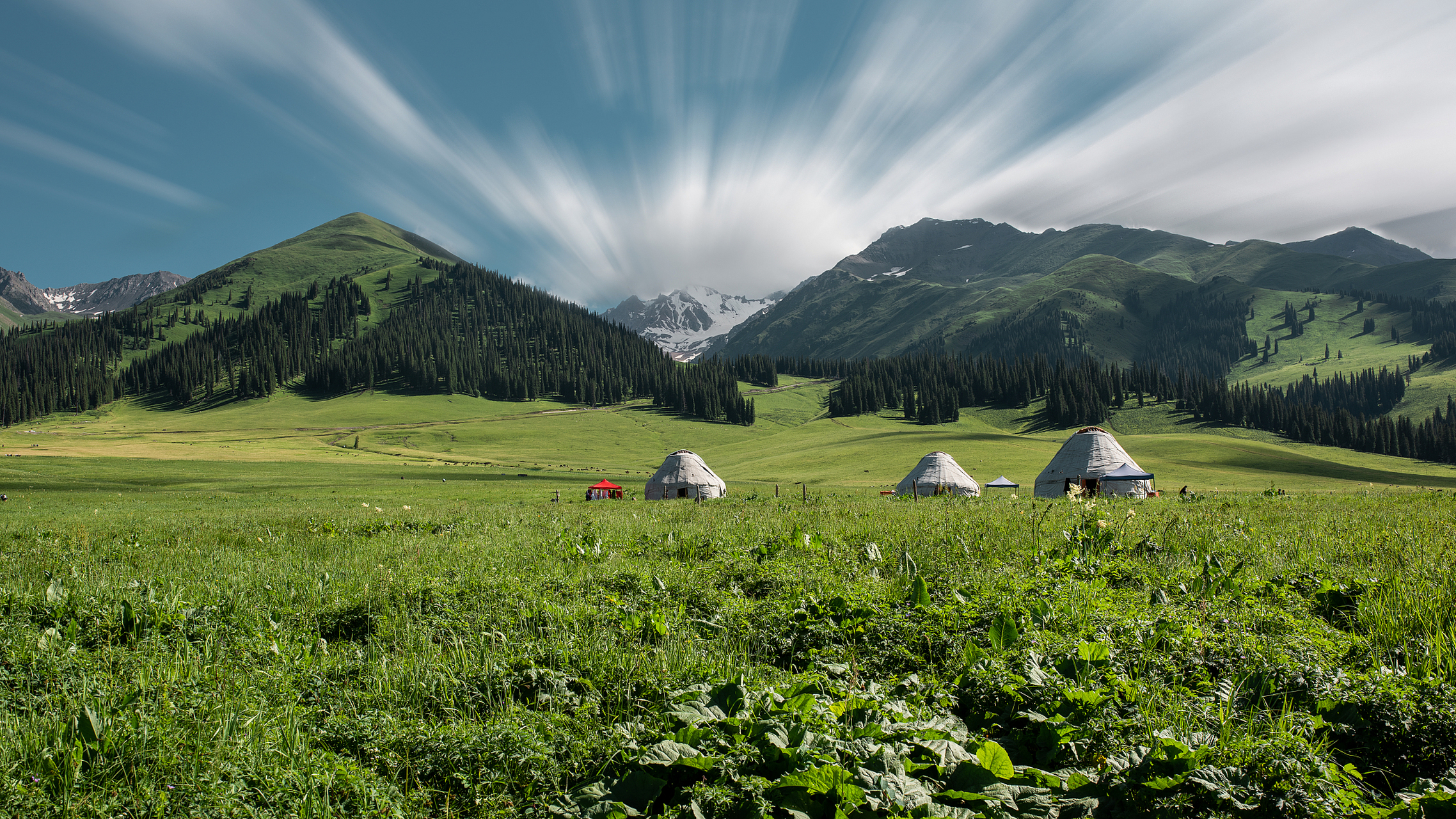 奇遇那拉提#那拉提草原位于新疆维吾尔自治区伊犁哈萨克自治州那拉提
