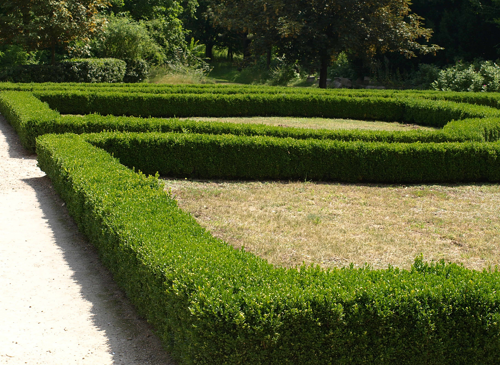 男子顺走3公里绿化带 7万元绿植只卖1500元 嫌疑人程某平时在一家花卉