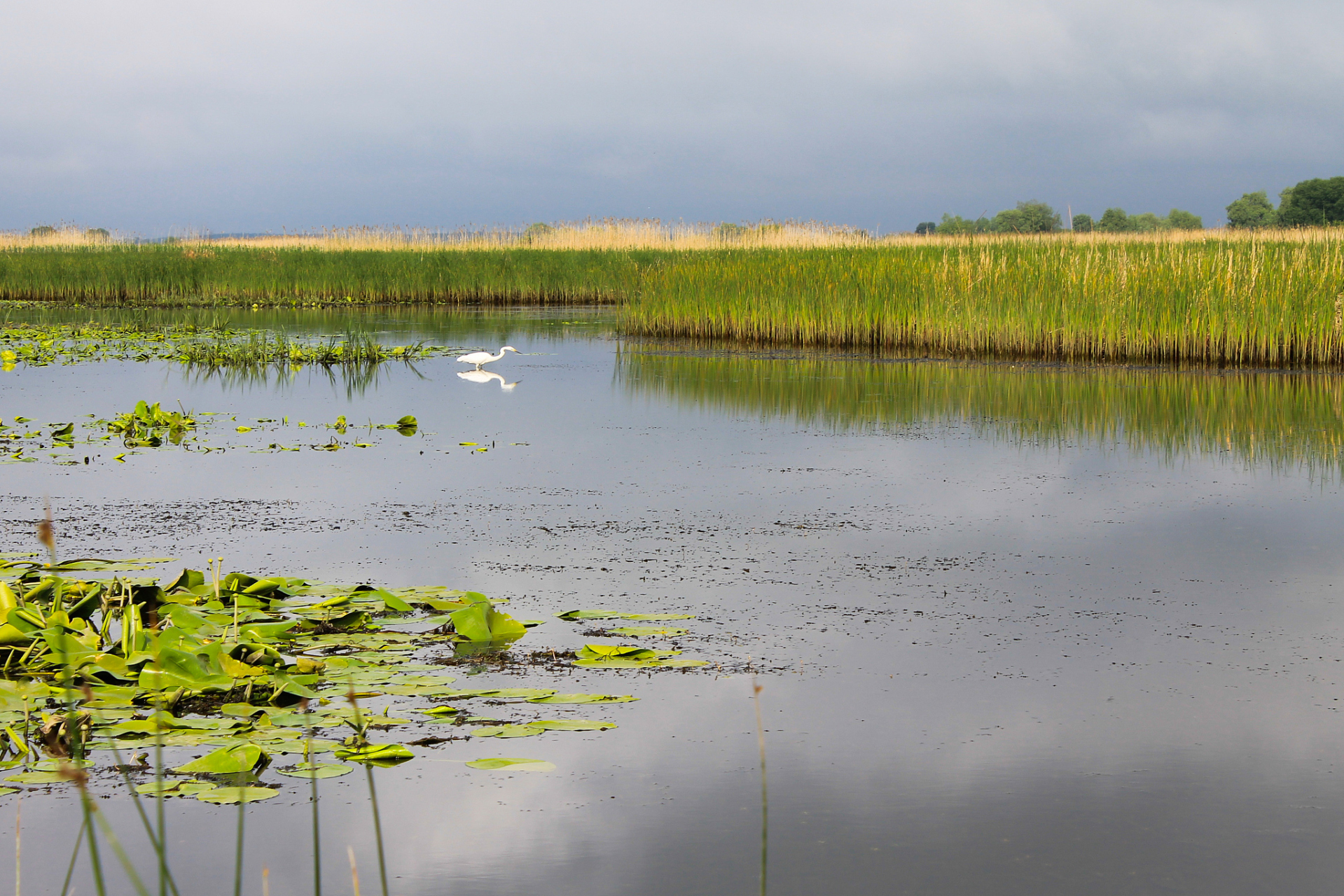 洪泽湖湿地,一个集观光旅游,生态休闲,科普教育于一体的国家5a级景区