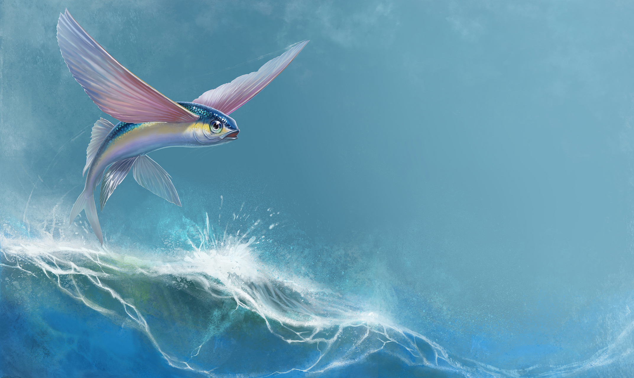 今儿个咱们聊聊海里那些能飞的鱼