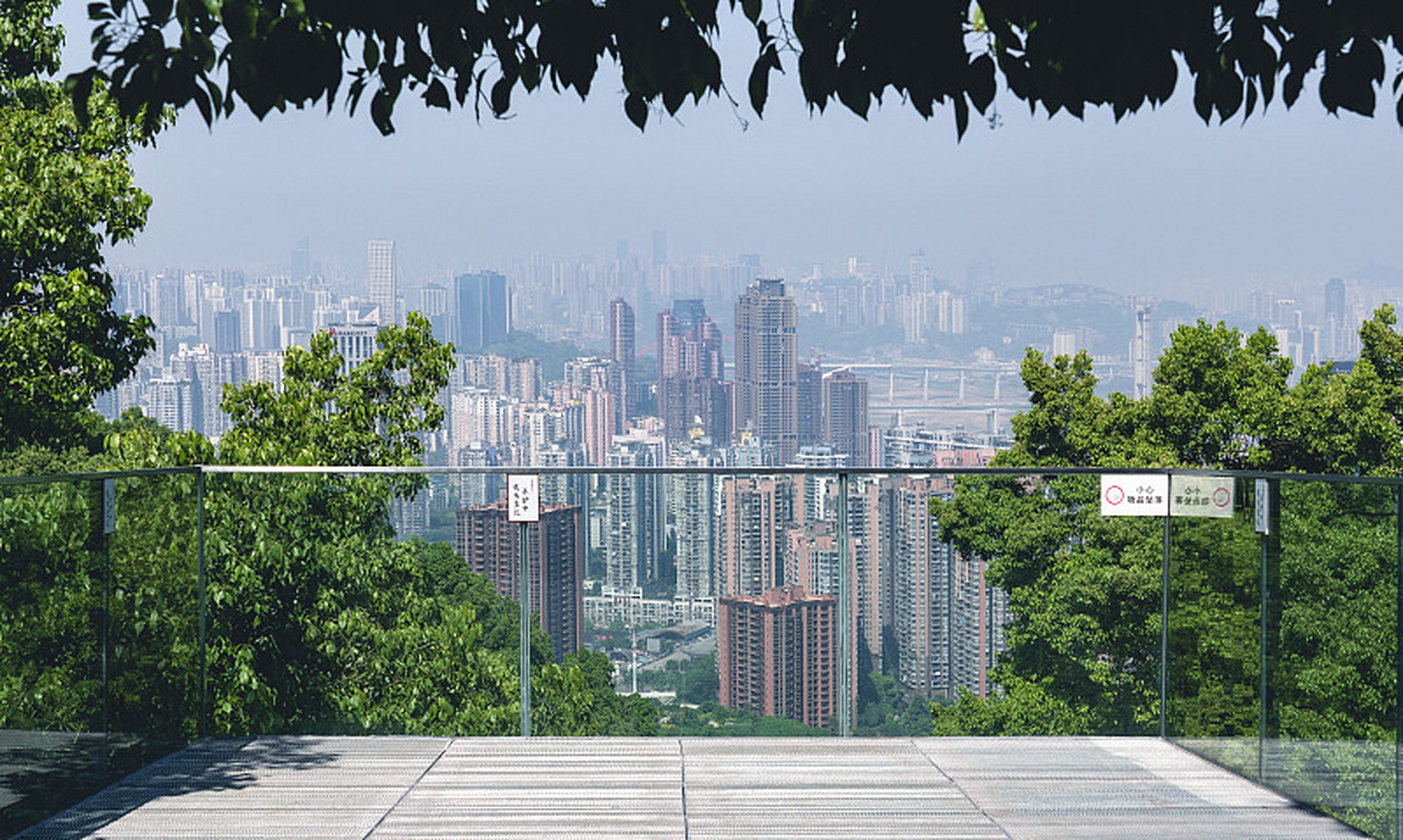 春日重庆,南山一棵树观景台上,目之所及尽是葱茏.