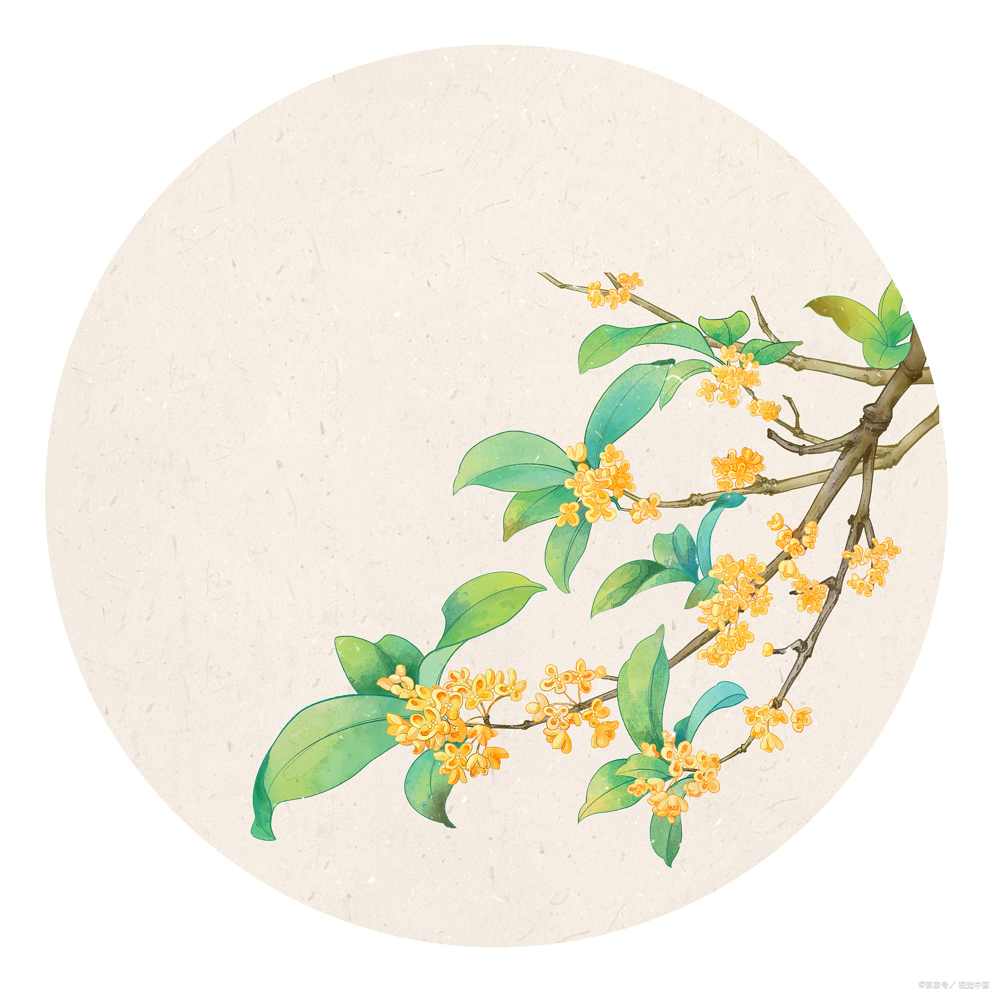 案头瓷瓶里插着两枝早桂,是傍晚从老院的桂树上折来的,嫩黄的花瓣缀在