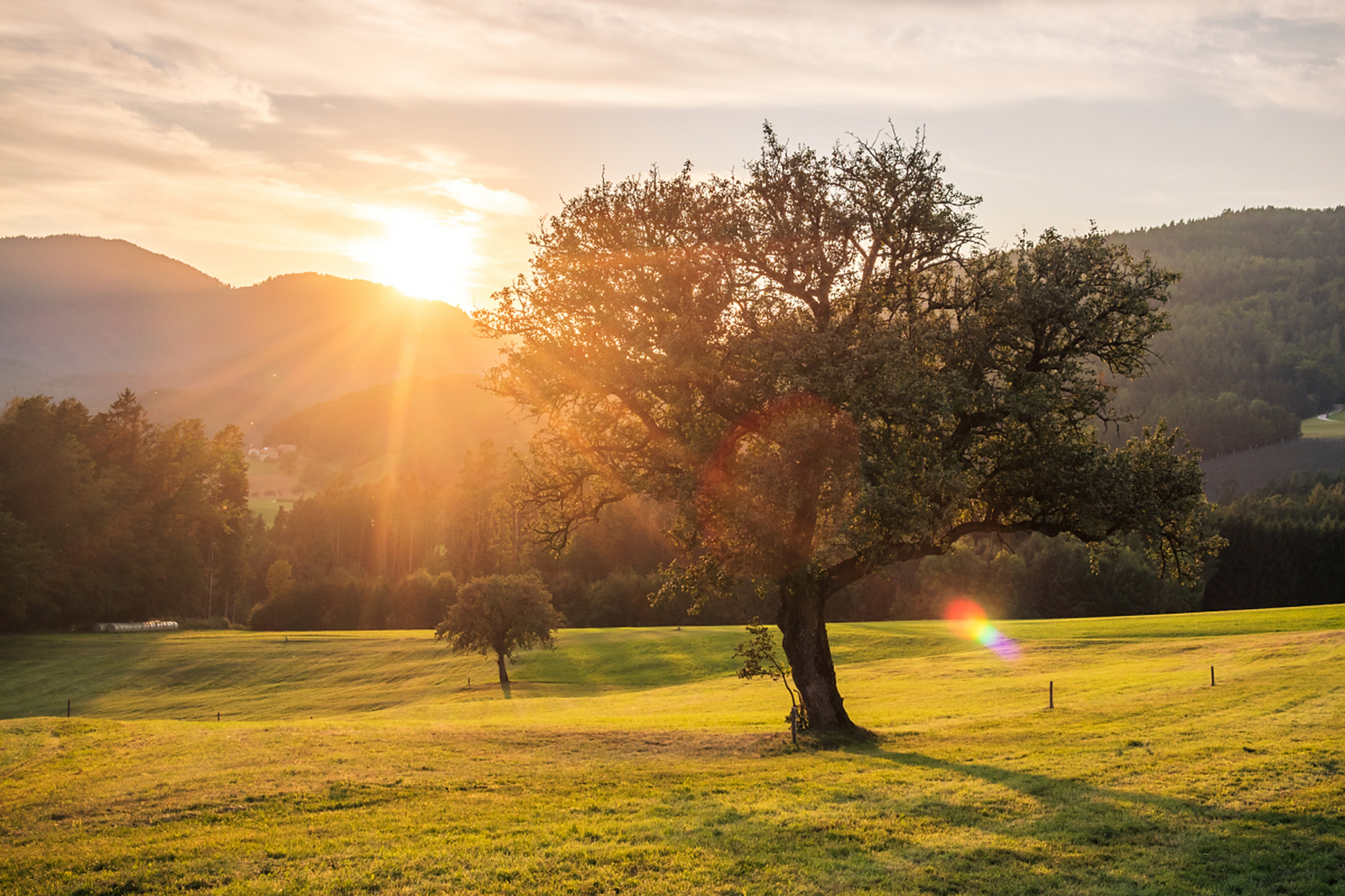 前几天,一个朋友过生日,所以我们几个关系比较好的人聚在了一起帮她