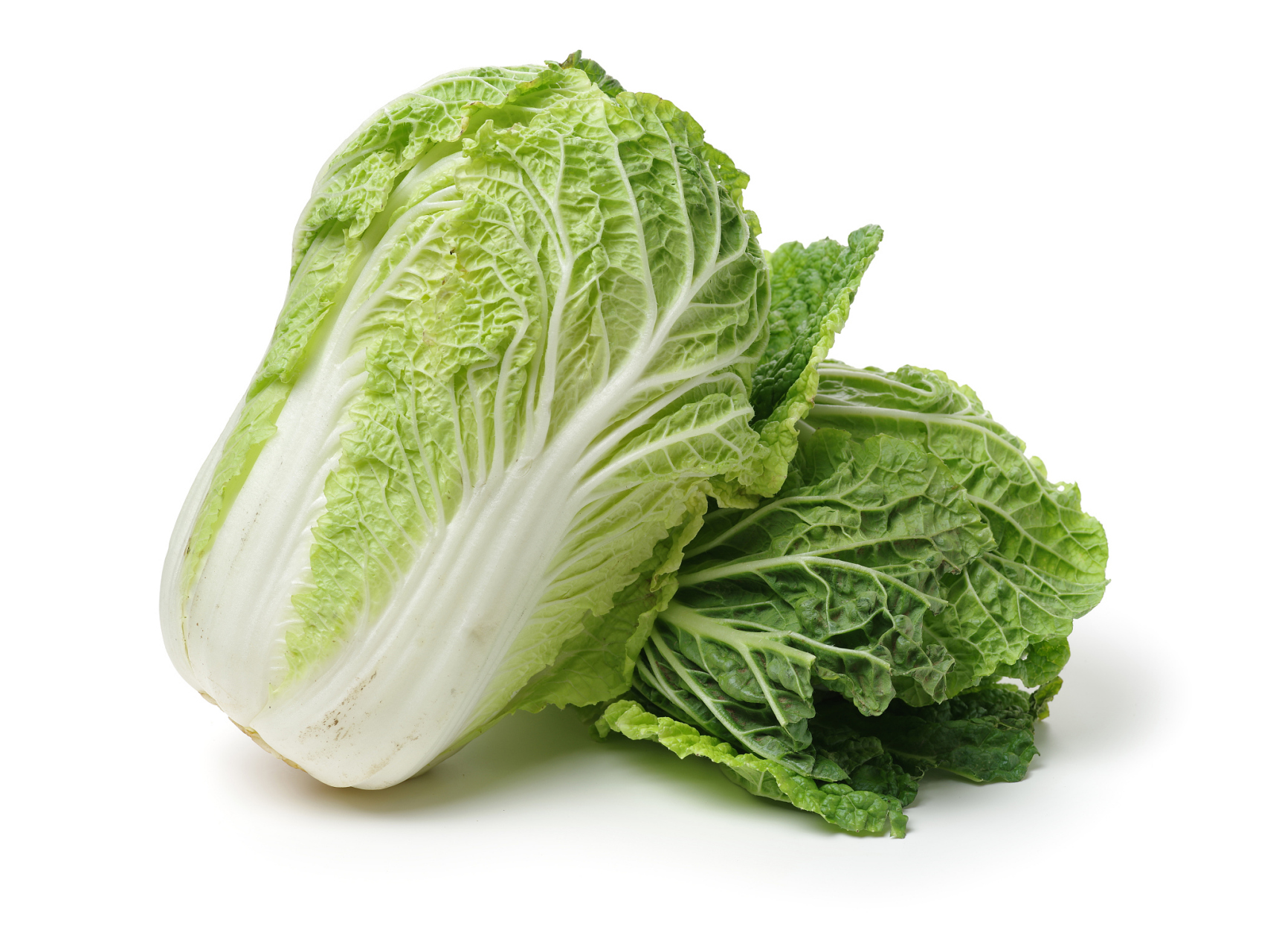 冬天时令蔬菜有哪些?  11566 萝卜   冬天正是萝卜的盛产季节.