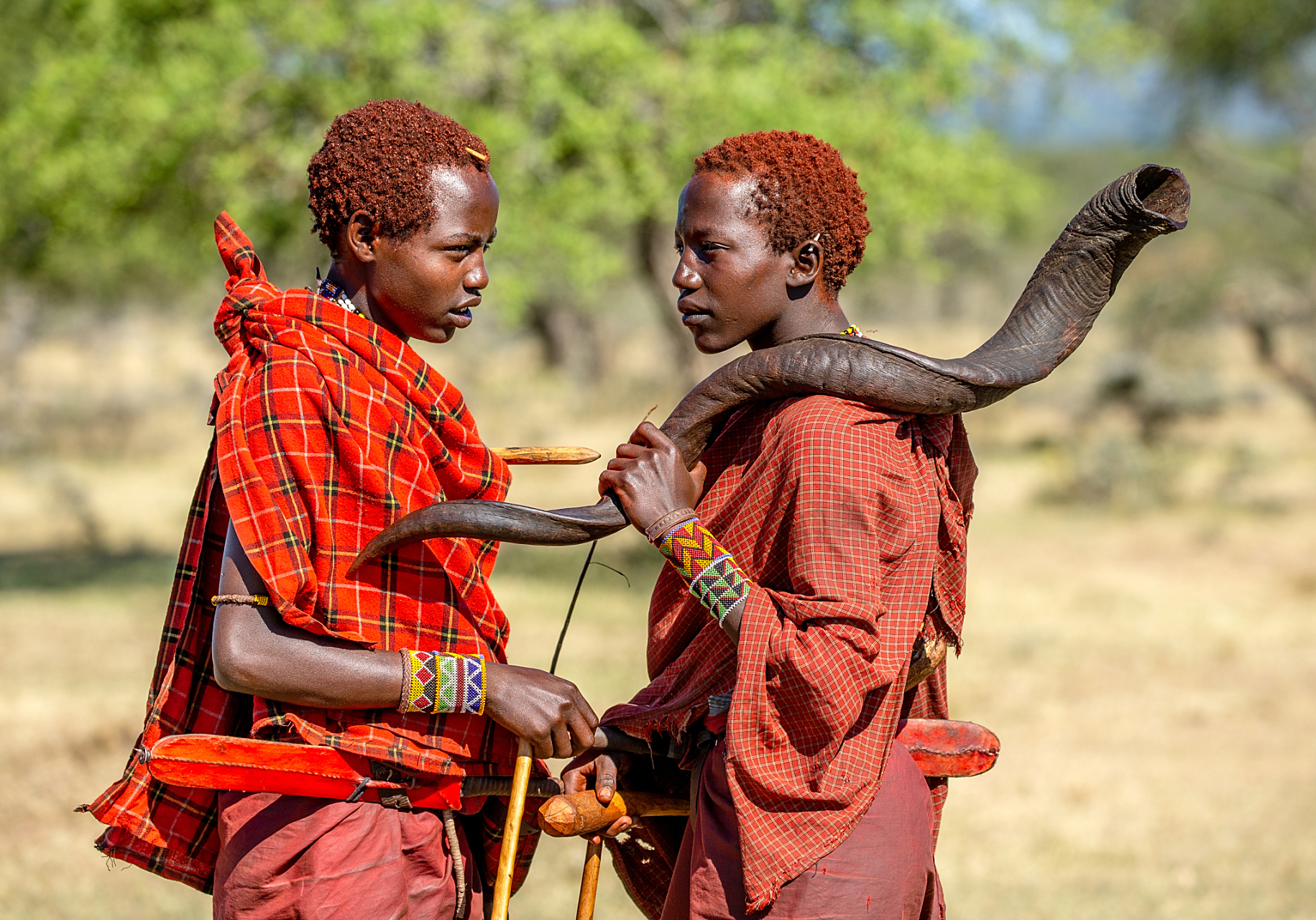 非洲马赛人是非洲大陆上的一个重要民族,他们居住在肯尼亚和坦桑尼亚