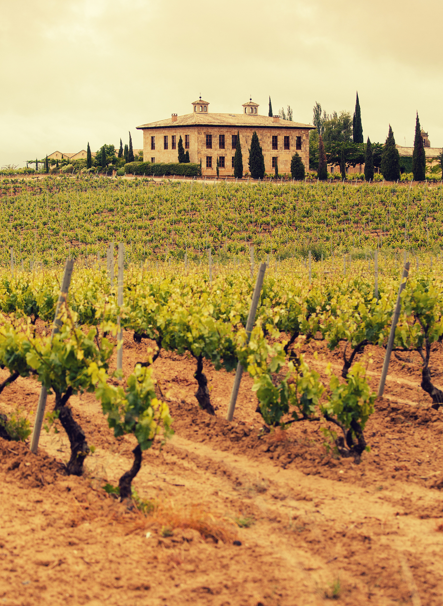 乌海,国庆去汉森酒庄品葡萄酒,葡萄园和酒庄 tour尝 