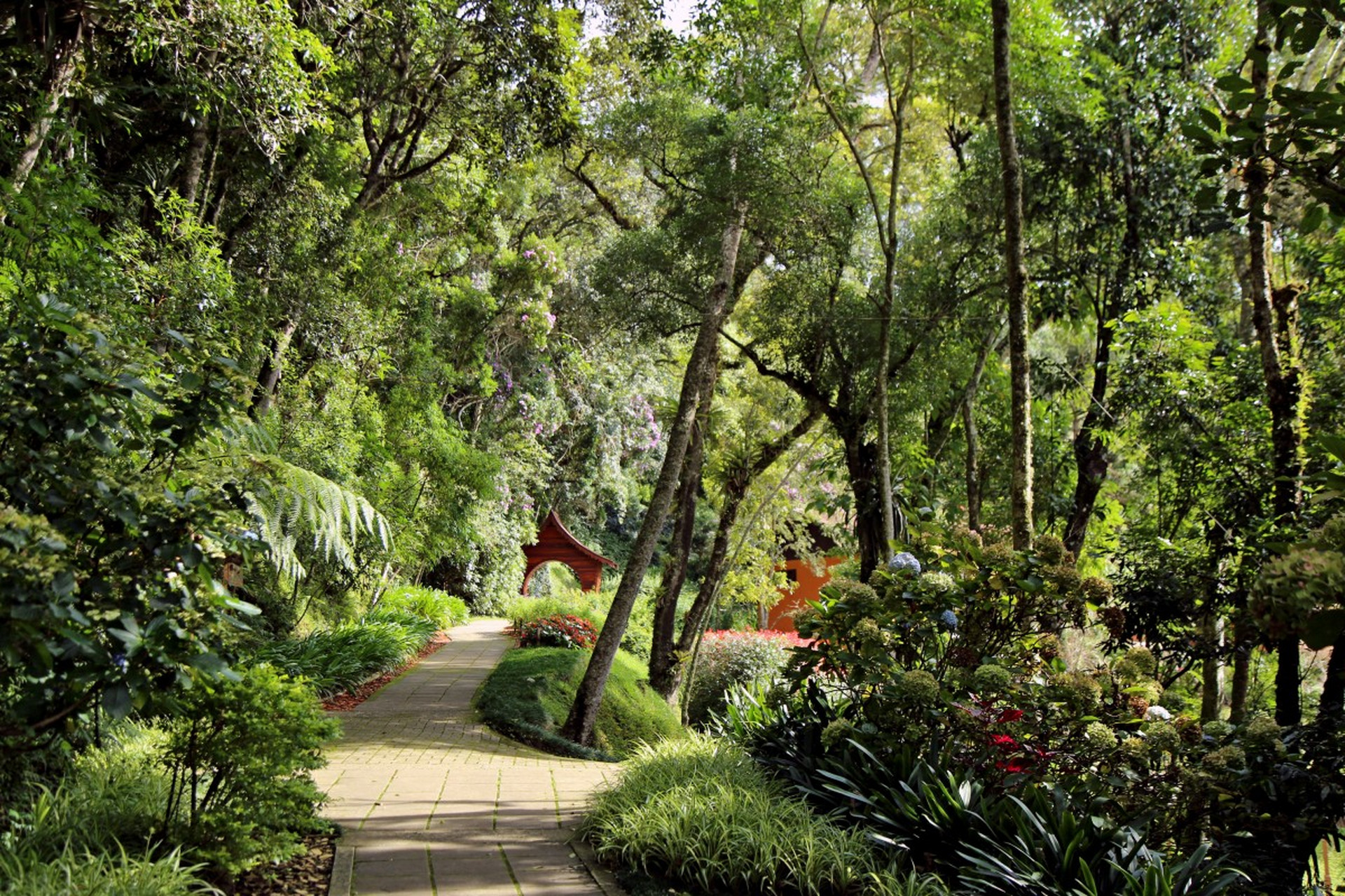 重庆南山植物园位于南岸区,占地551公顷,集科普,观赏于一体.