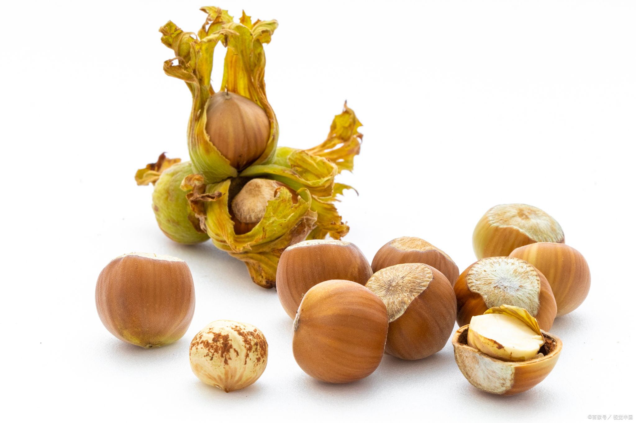 榛子又叫山板栗,尖栗,它的形状是卵圆形,像栗子,外壳呈黄褐色.