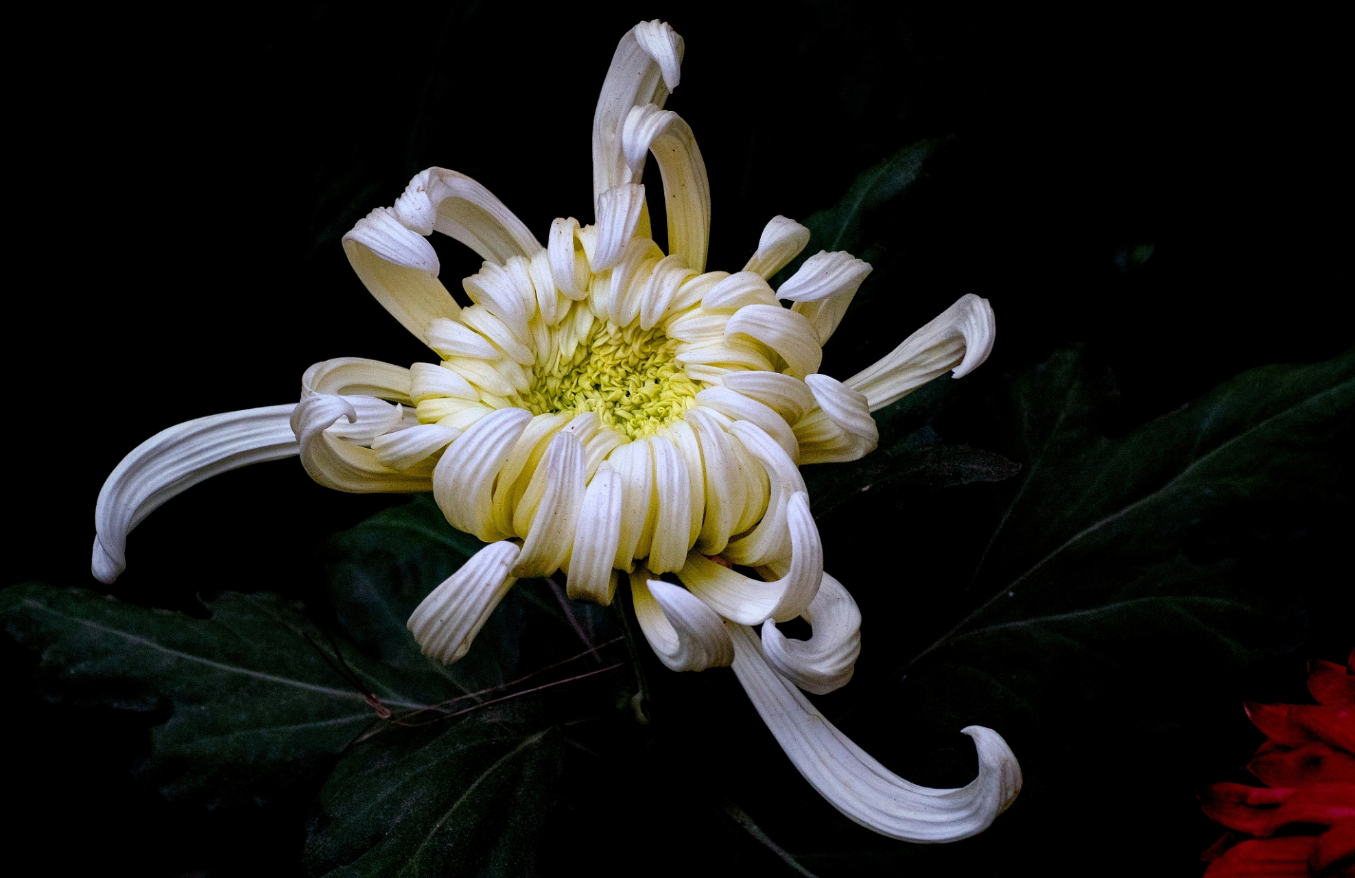 火葬场成为了家庭财产争议的战场,原本应该是悼念和送别亲人的场所,却