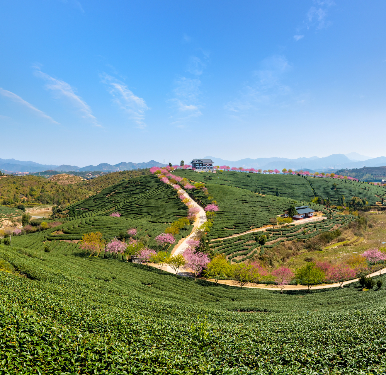 位于上虞岭南的覆卮山景区,是上虞地区的第一高峰,其壮丽景观可谓令人