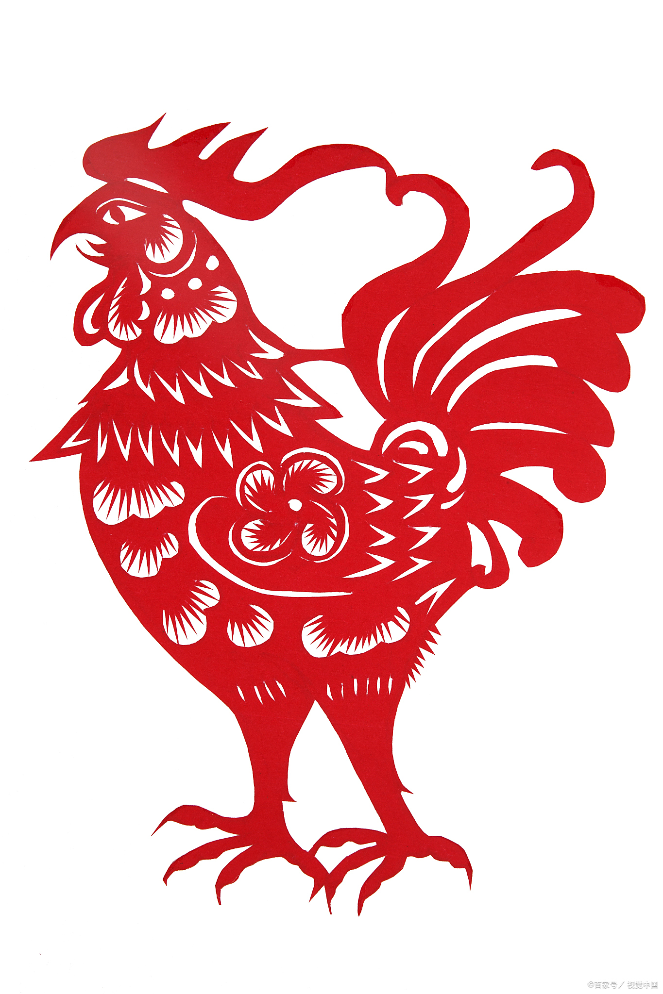 91年生肖鸡的运势如何(91年鸡2020年运势)