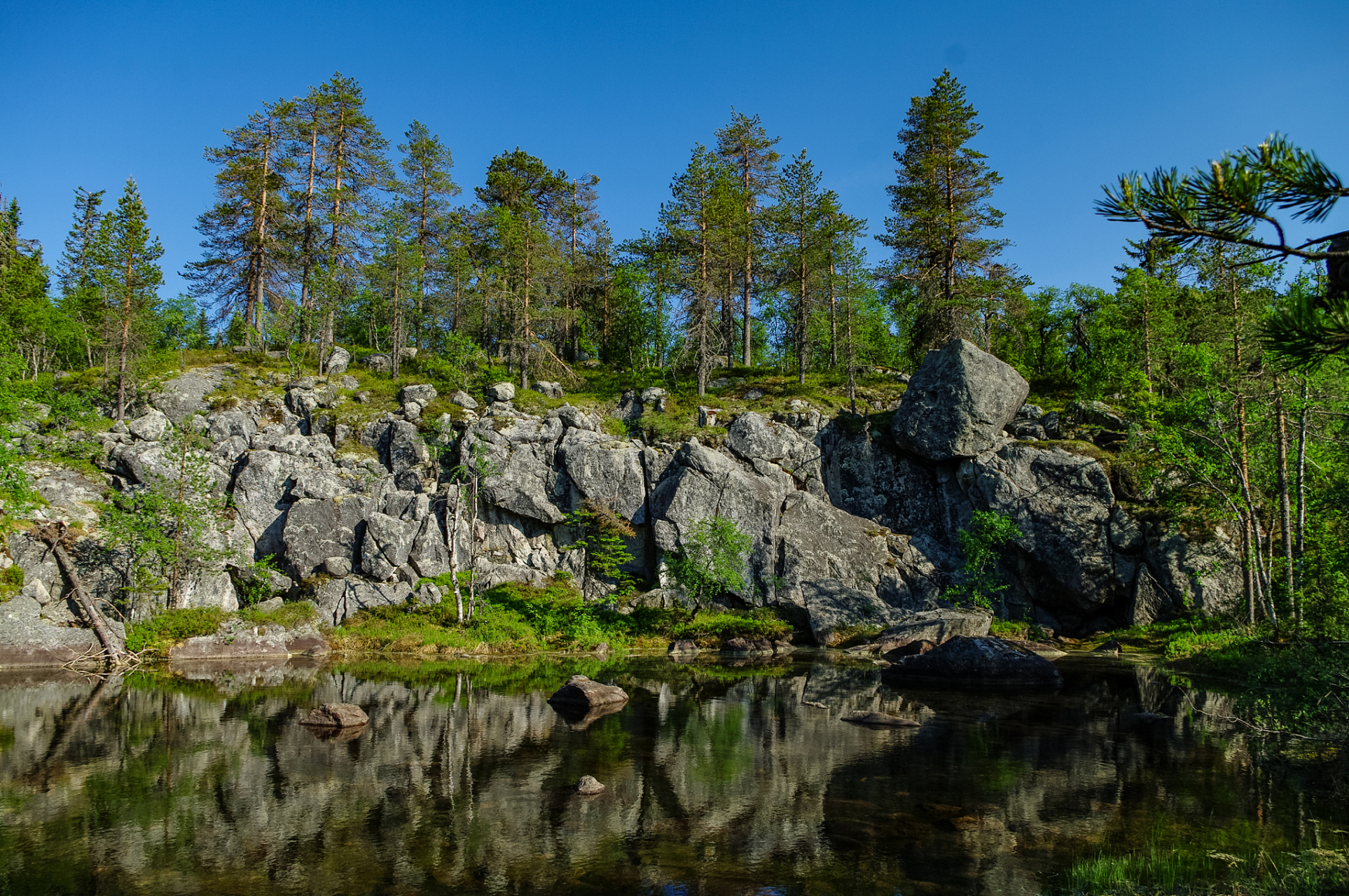 伊春市的汤旺河林海奇石景区,哎呀,就在黑龙江省的伊春市汤旺河区呢!