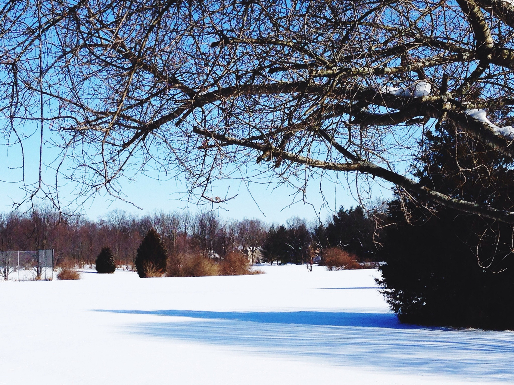 冬天的天气和景观#  雪景是冬季的独特风景,展现了大自然的魅力.