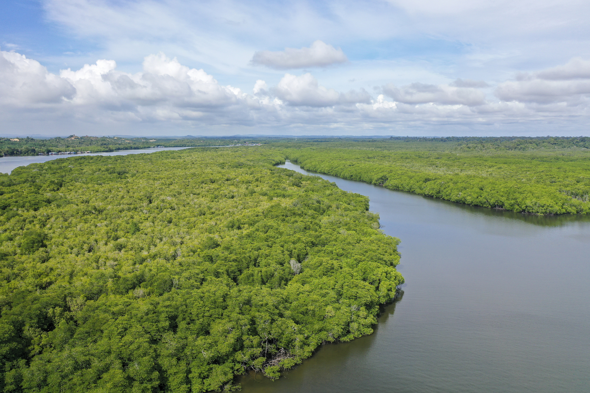北海红树林赶海攻略,探索未知的海底世界  #秋日环游指南# 北海红树林
