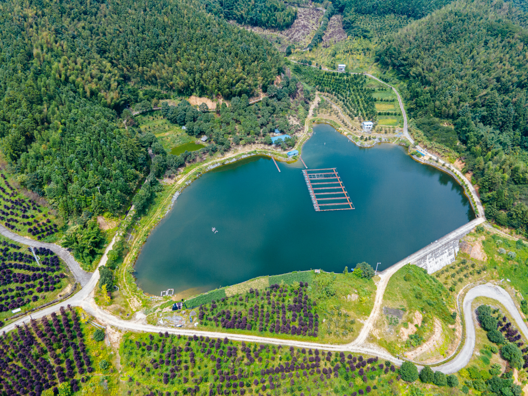 九龙湖,这个位于广东肇庆的美丽湖泊,湖光山色,是休闲度假的好去处.