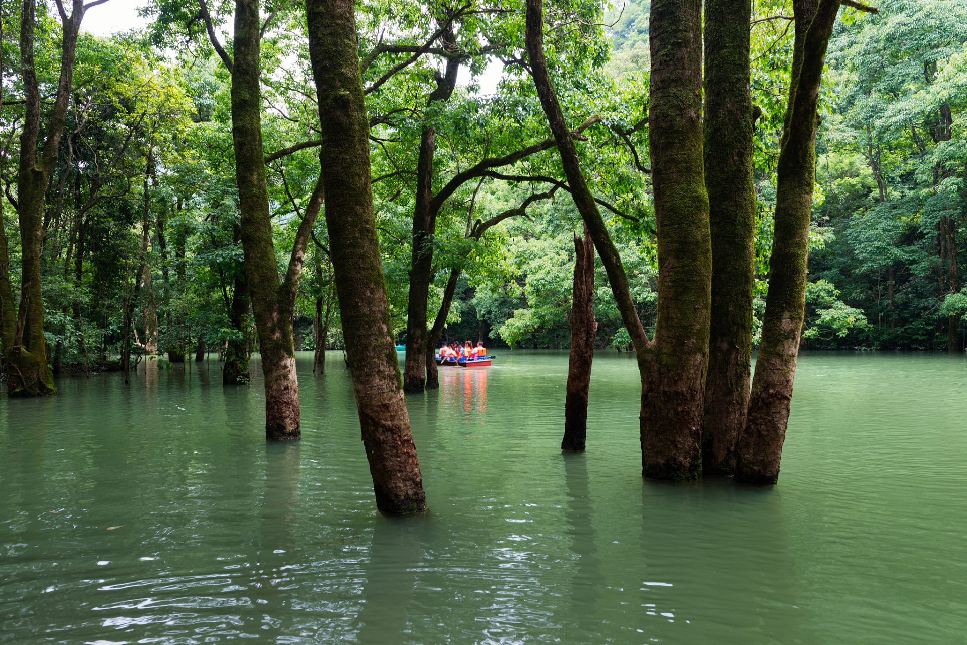 广西罗城仫佬族自治县的小长安镇罗东村,坐落着一片宛如童话仙境的