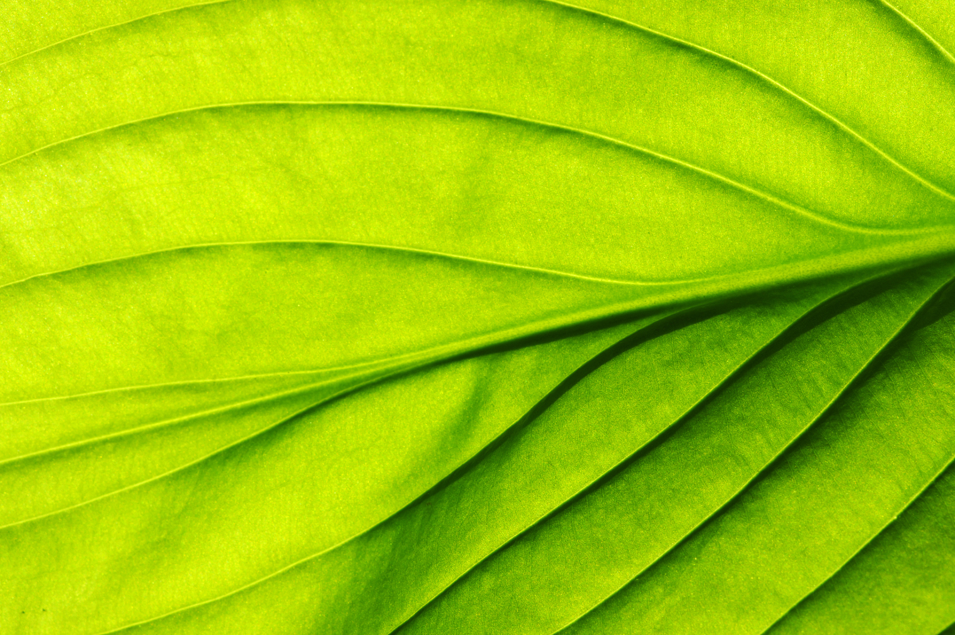 即便是把屏幕设置成了绿色,但是看屏幕时间过长,眼睛还是会干涩,疲劳