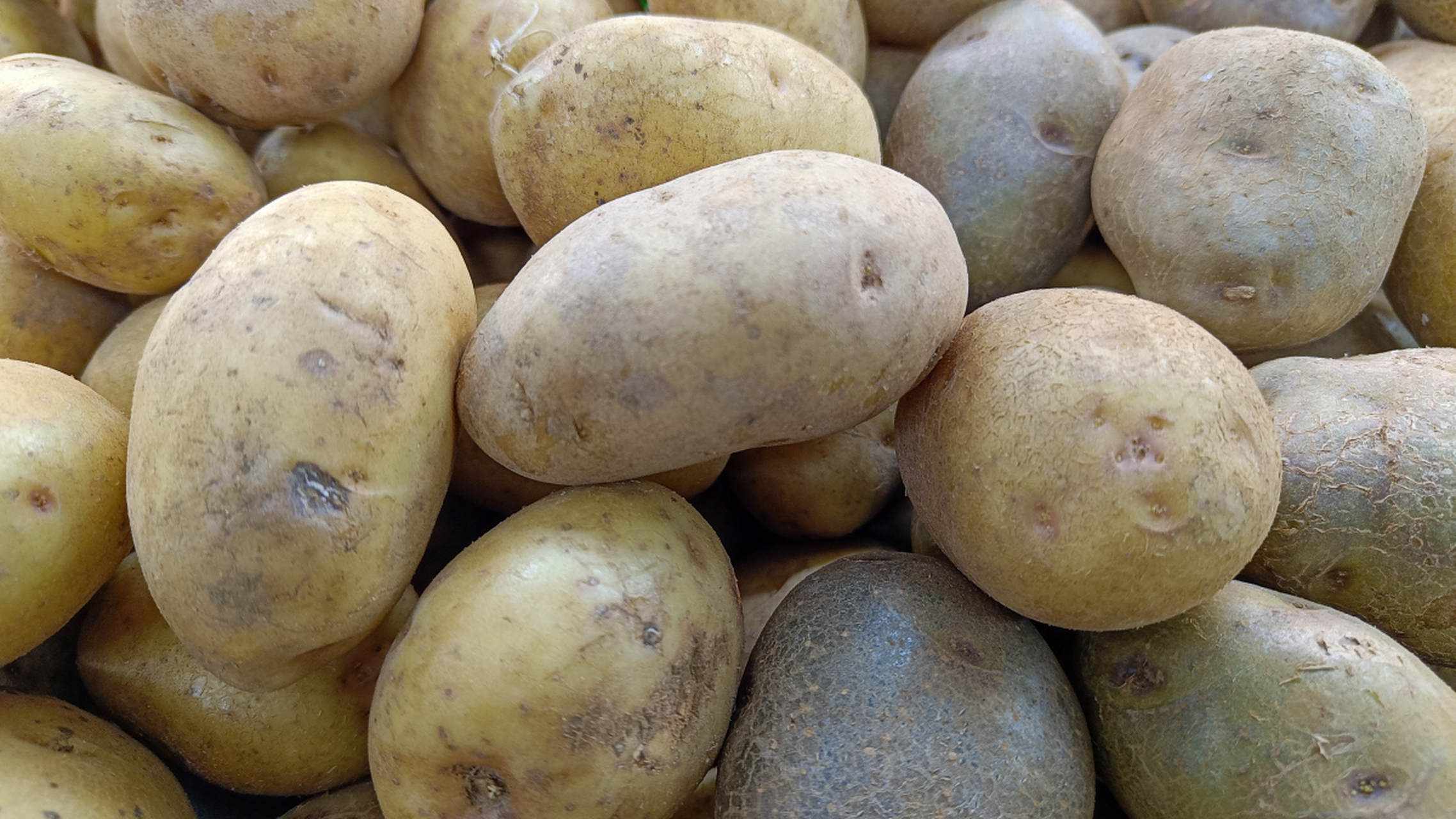 发绿的土豆还能吃吗?