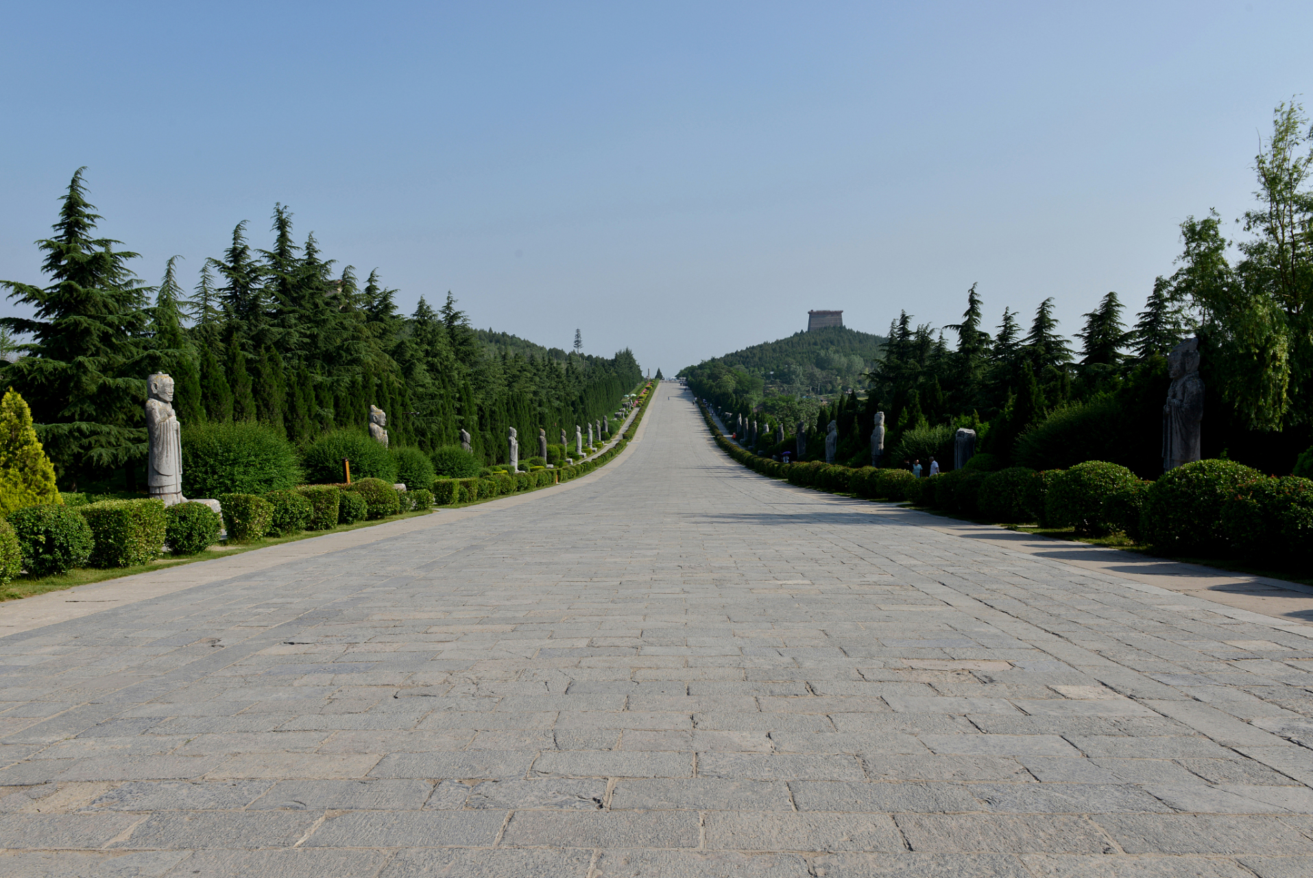 "赵王陵的春晨,雾霭如诗,仿佛春光乍泄,轻纱般的薄雾中,古老的陵墓在