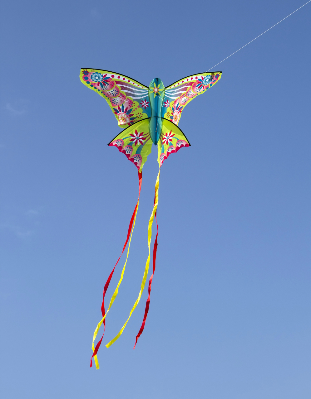 羽毛风筝是张志刚老师在传统风筝制作工艺上创新的产物,耗时耗力,具有