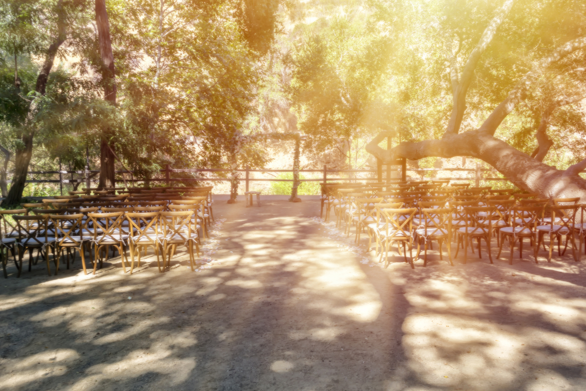 午后的阳光透过树叶洒在公园的长椅上,我坐在这里,静静欣赏着周围的