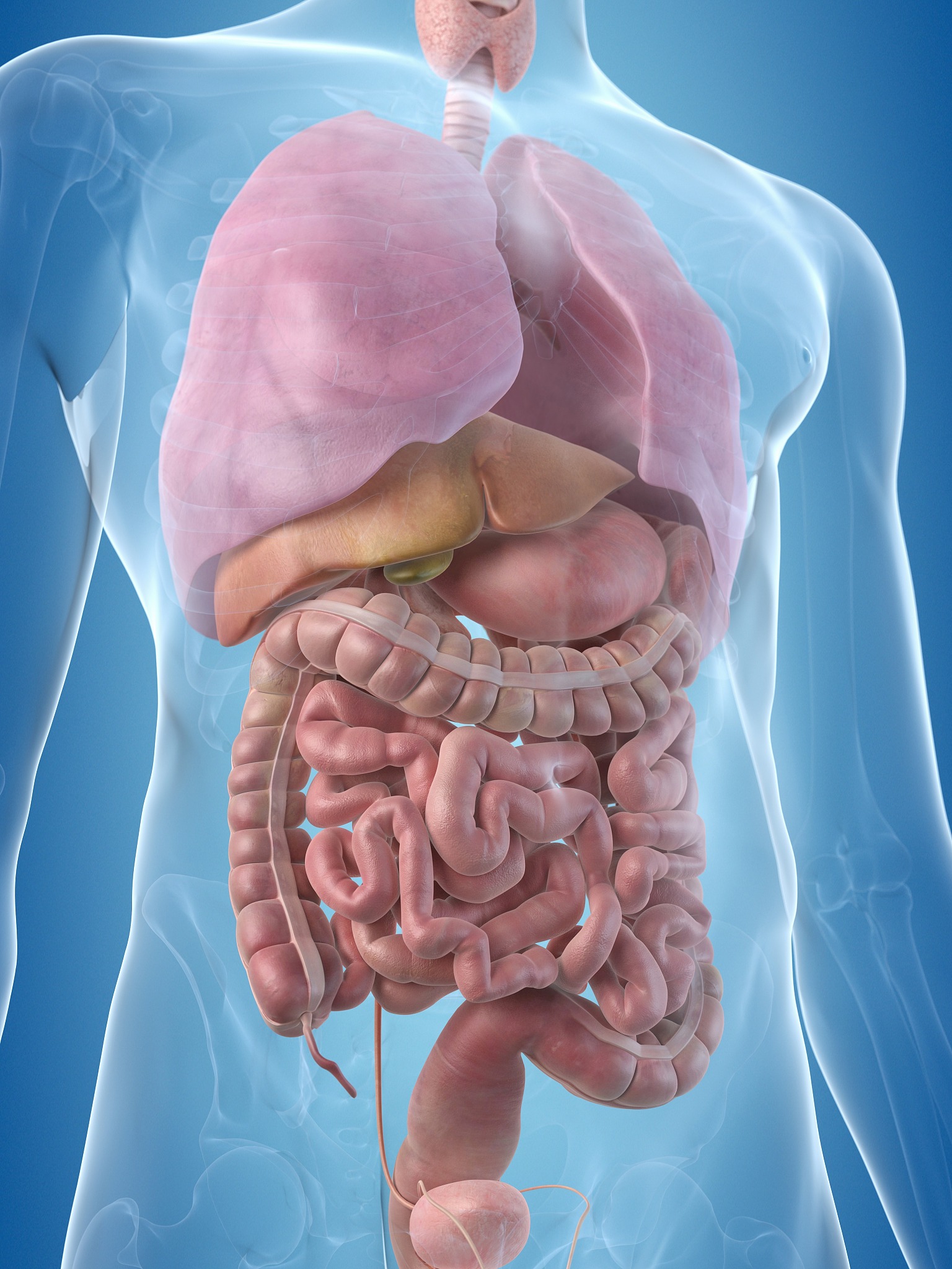 津液是人体的流动的营养精华,包括血液,淋巴液,各个腔道窍口脏腑的