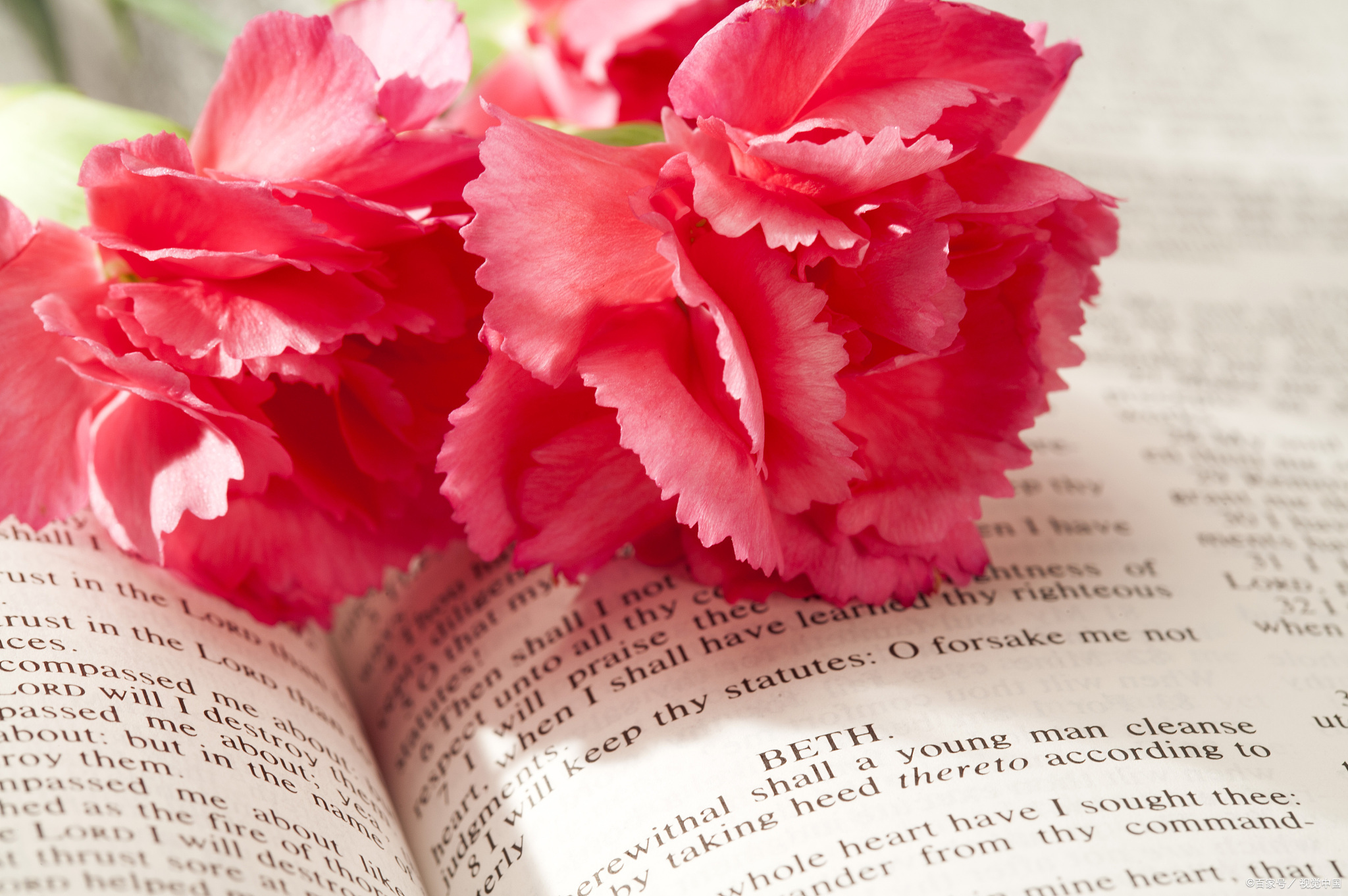 《北辙南辕》爱情的路上,请远离渣男,及时止损