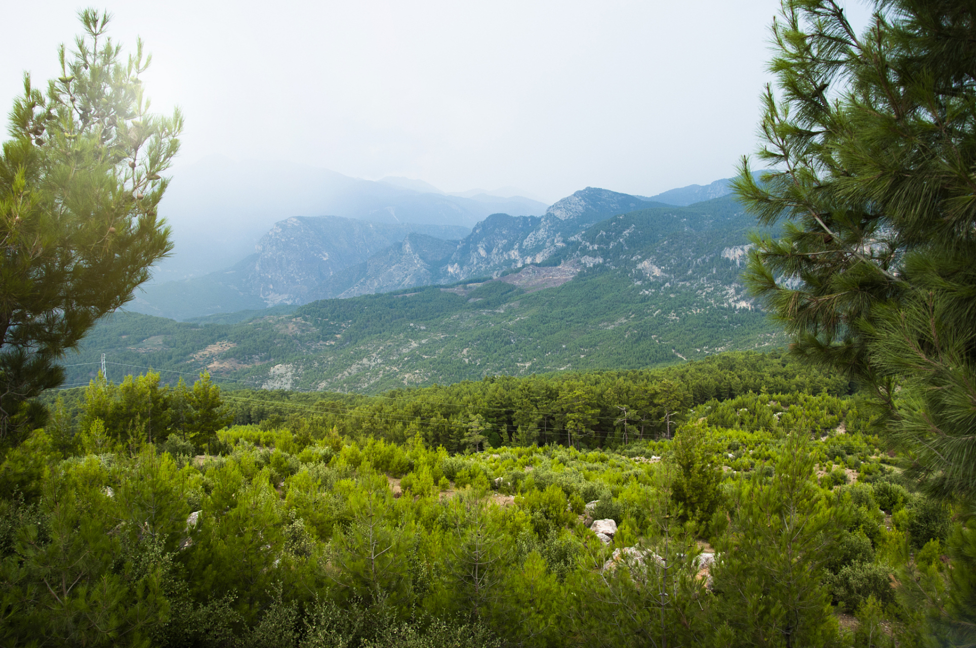 鸡冠山国家森林公园,隐藏在吉林省通化市梅河口市吉乐乡的群山之中,因