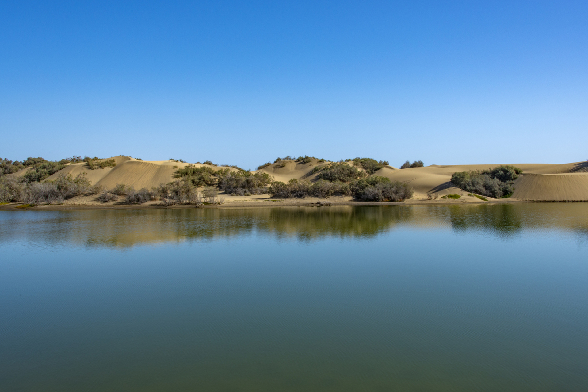 在埃及沙漠绿洲旅行是一次独特的体验,建议选择锡瓦绿洲作为目的地
