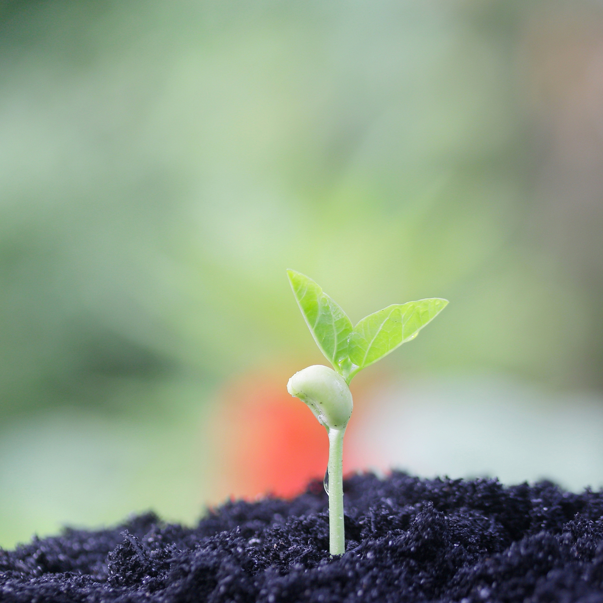 握紧彼此的手,让爱在心底生根发芽,珍惜,是此刻最温柔的誓言