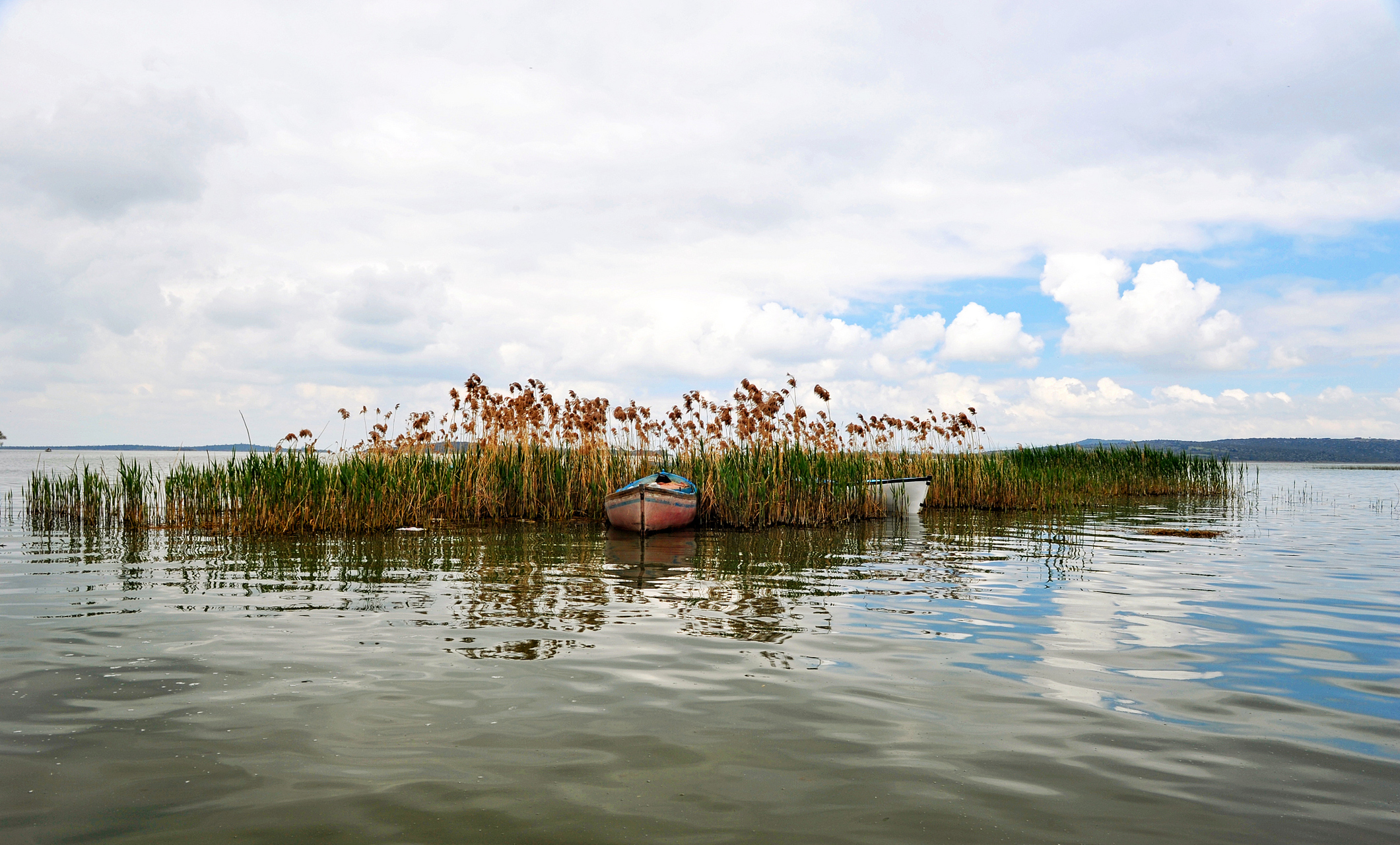 我给大家介绍一个国家5a级旅游景区:宿迁市洪泽湖湿地景区.