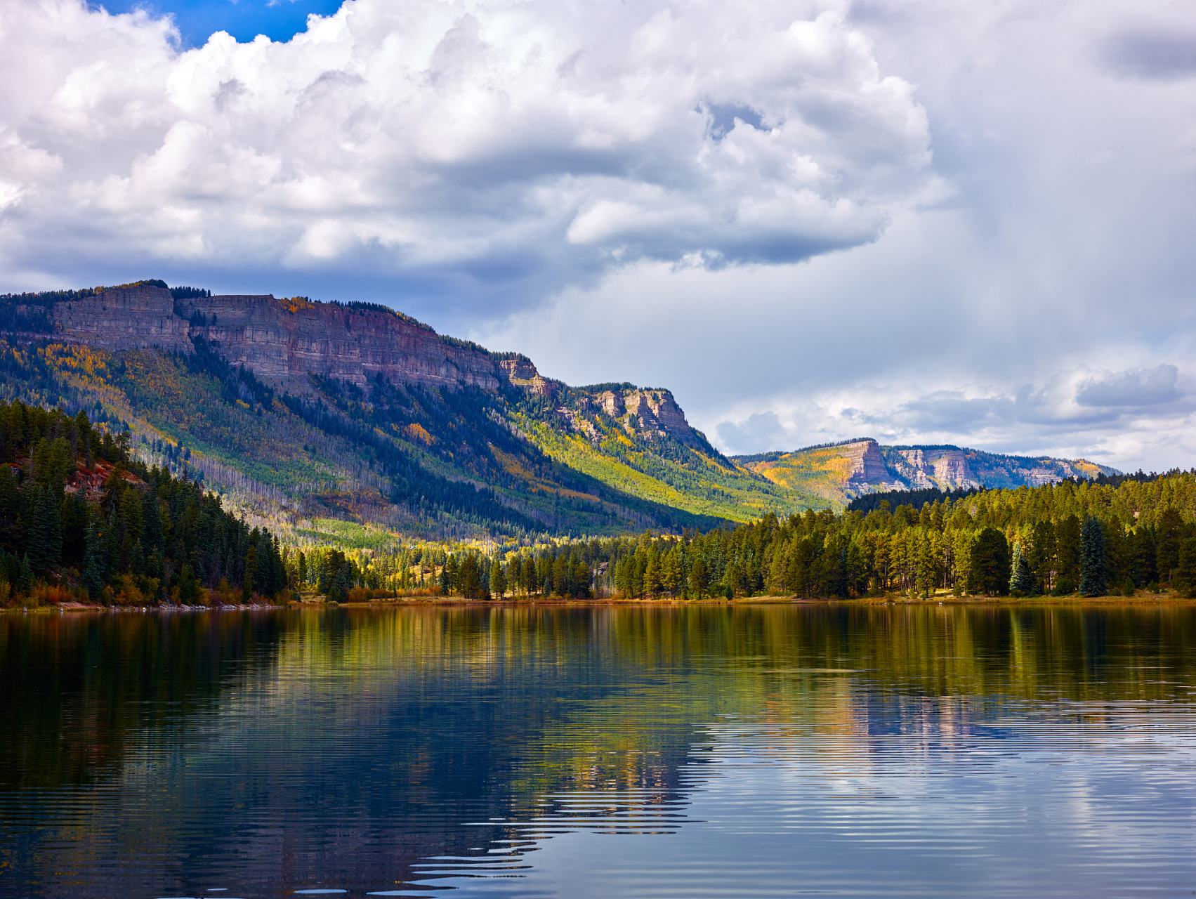 梦想照亮前行之路,挫折只是成功的敲门砖.勇敢追梦吧!