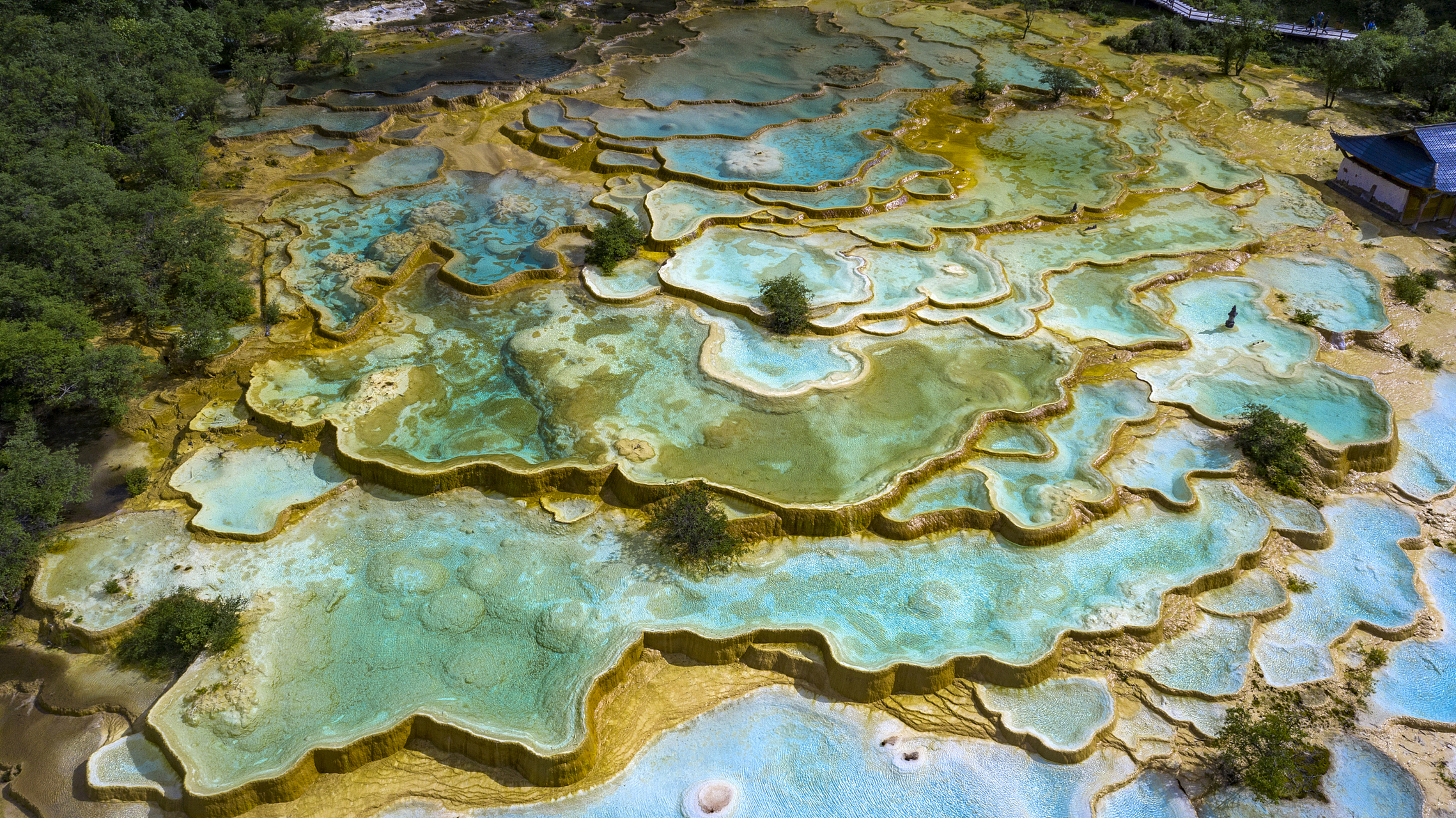 四川九寨沟神仙池景区的事件,引发了广大游客和网友的关注和热议.