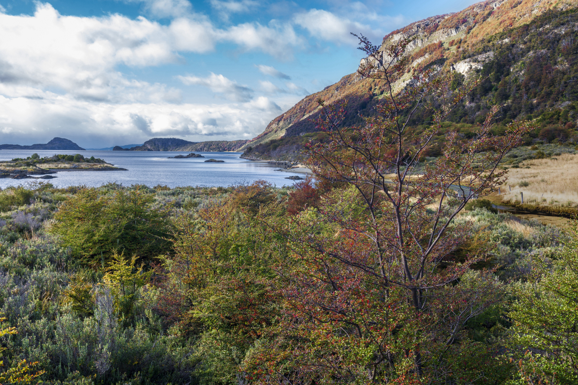 跨年创作挑战赛# 阿根廷火地岛国家公园是世界最南端的城市,岛上的动