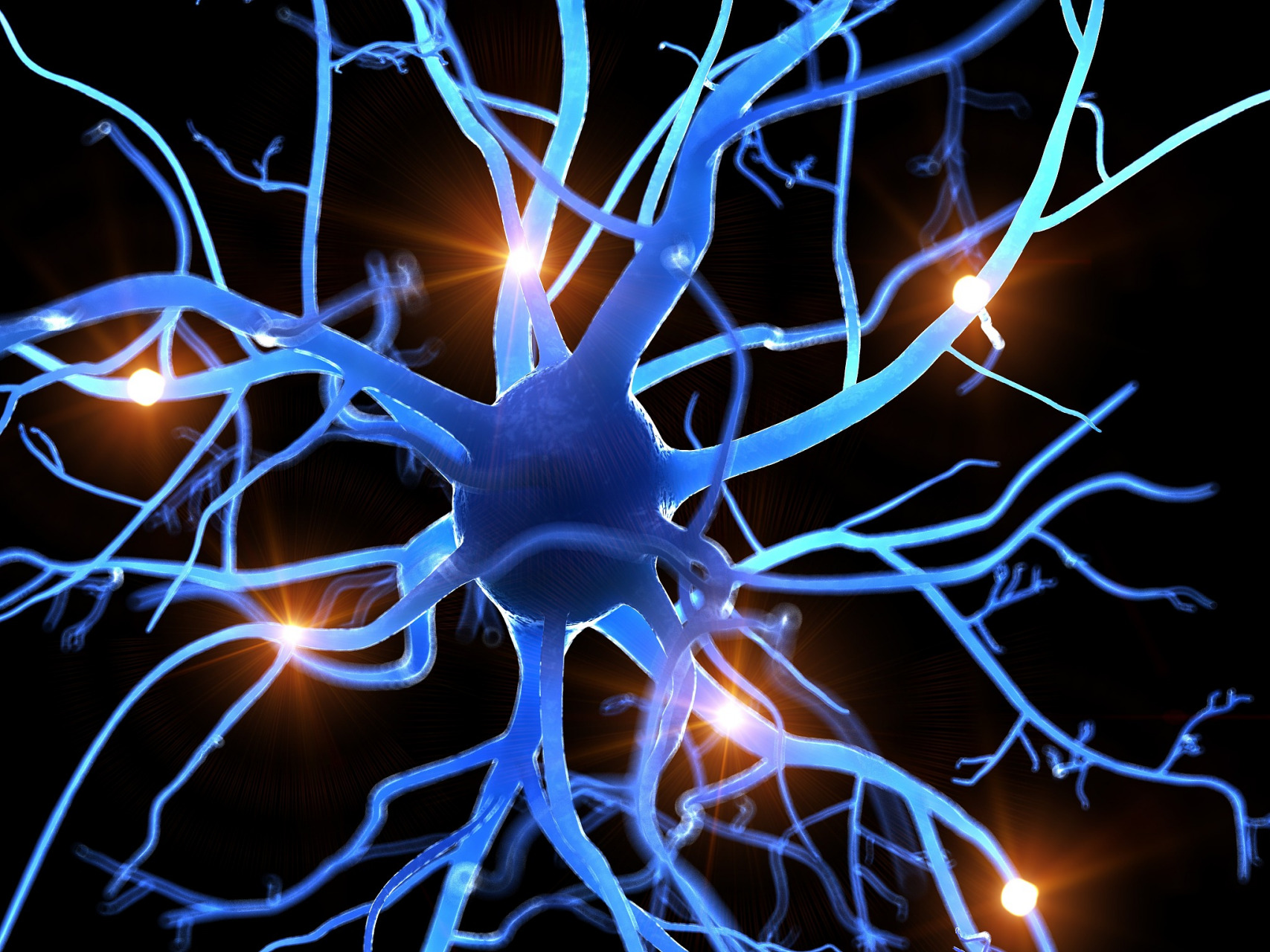 钢琴练习四年后,大脑会显著变化,包括神经元连接的丰富和复杂化,提高