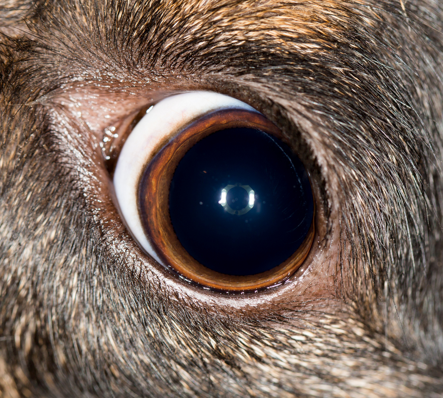 我不想揭穿小宝,我要继续装作不知道