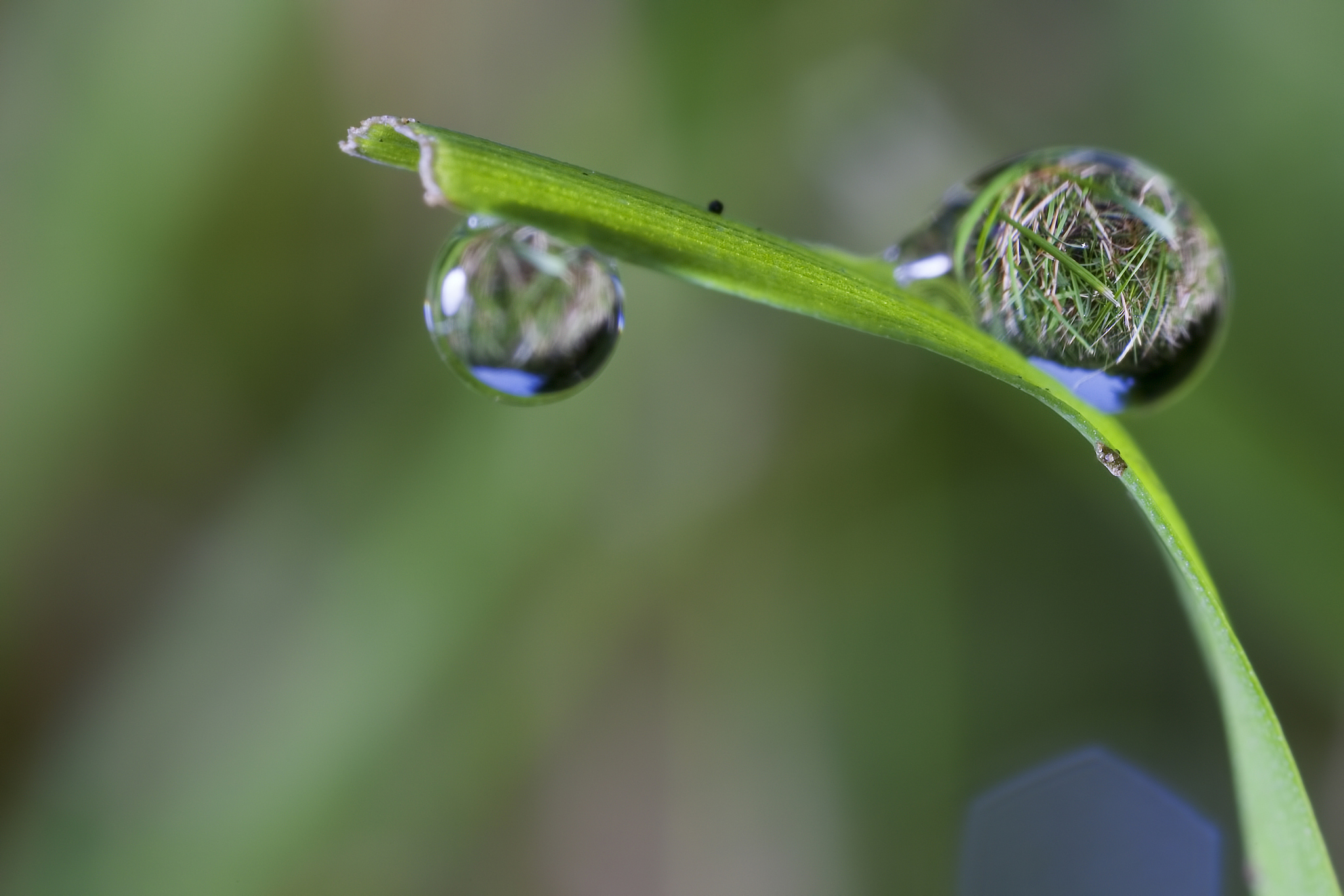 生活如海,有平静有狂风骤雨,但总有破浪前行的勇气与力量