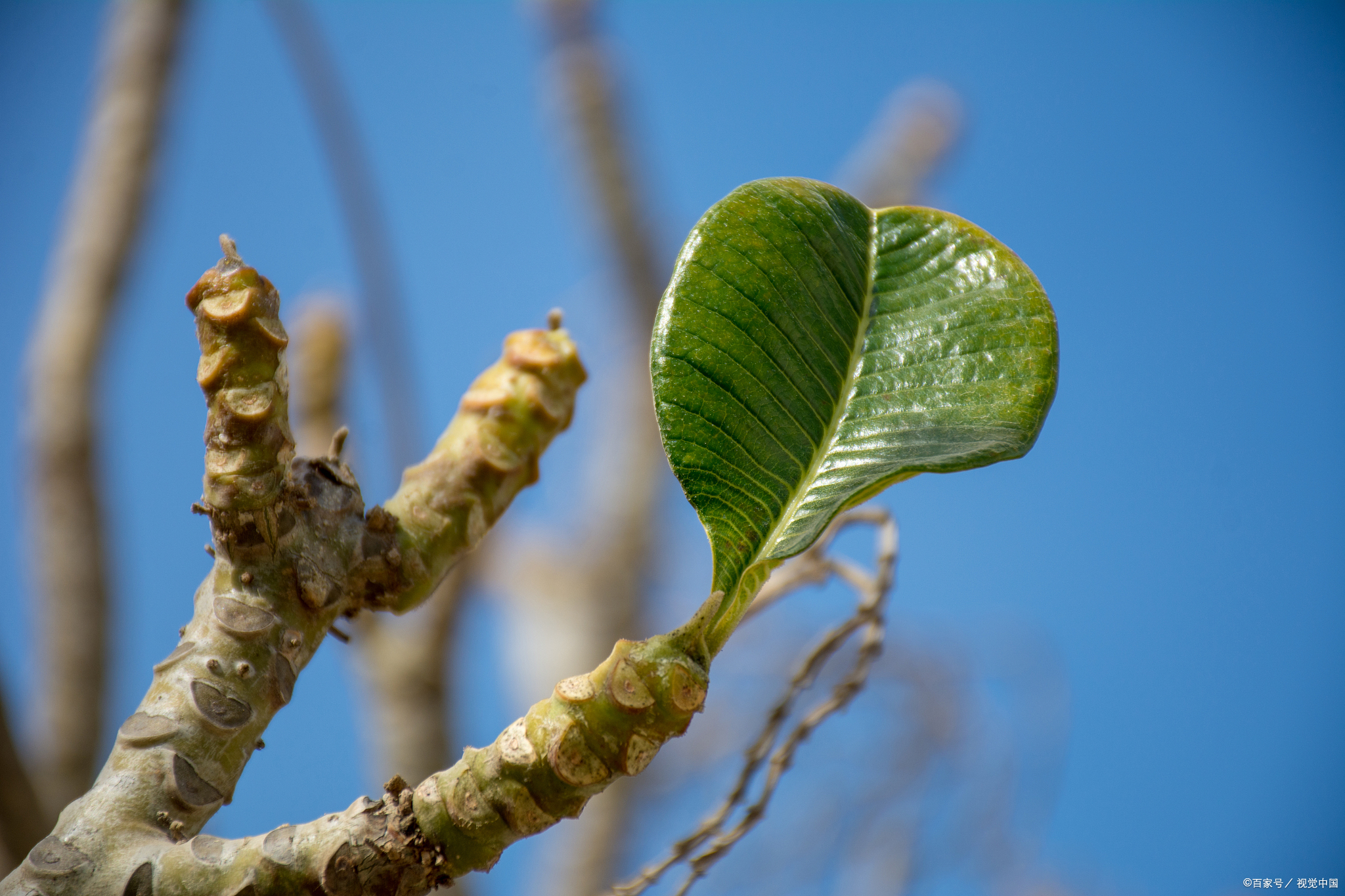 高考成绩不理想,怎么办?复读生如何高效提升学习成绩?