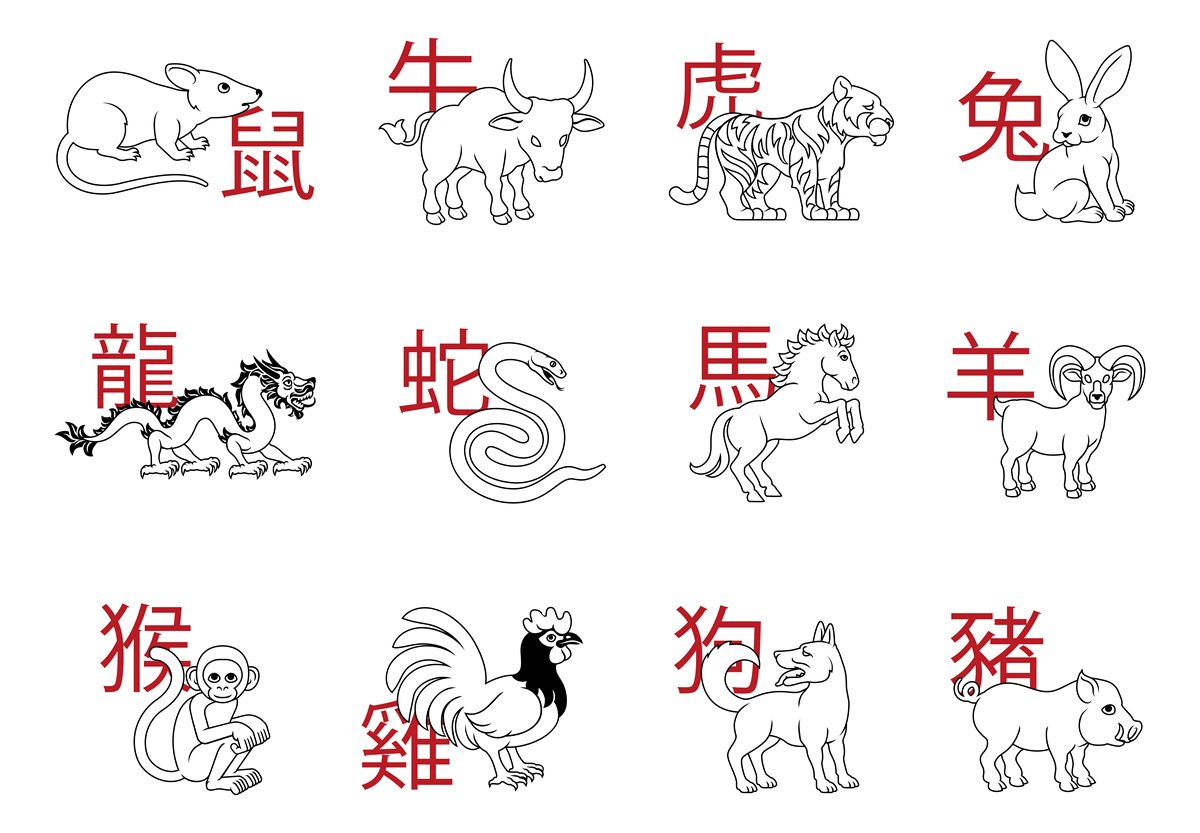 生肖运势10.31-11.6(十二生肖每日运程完整版)