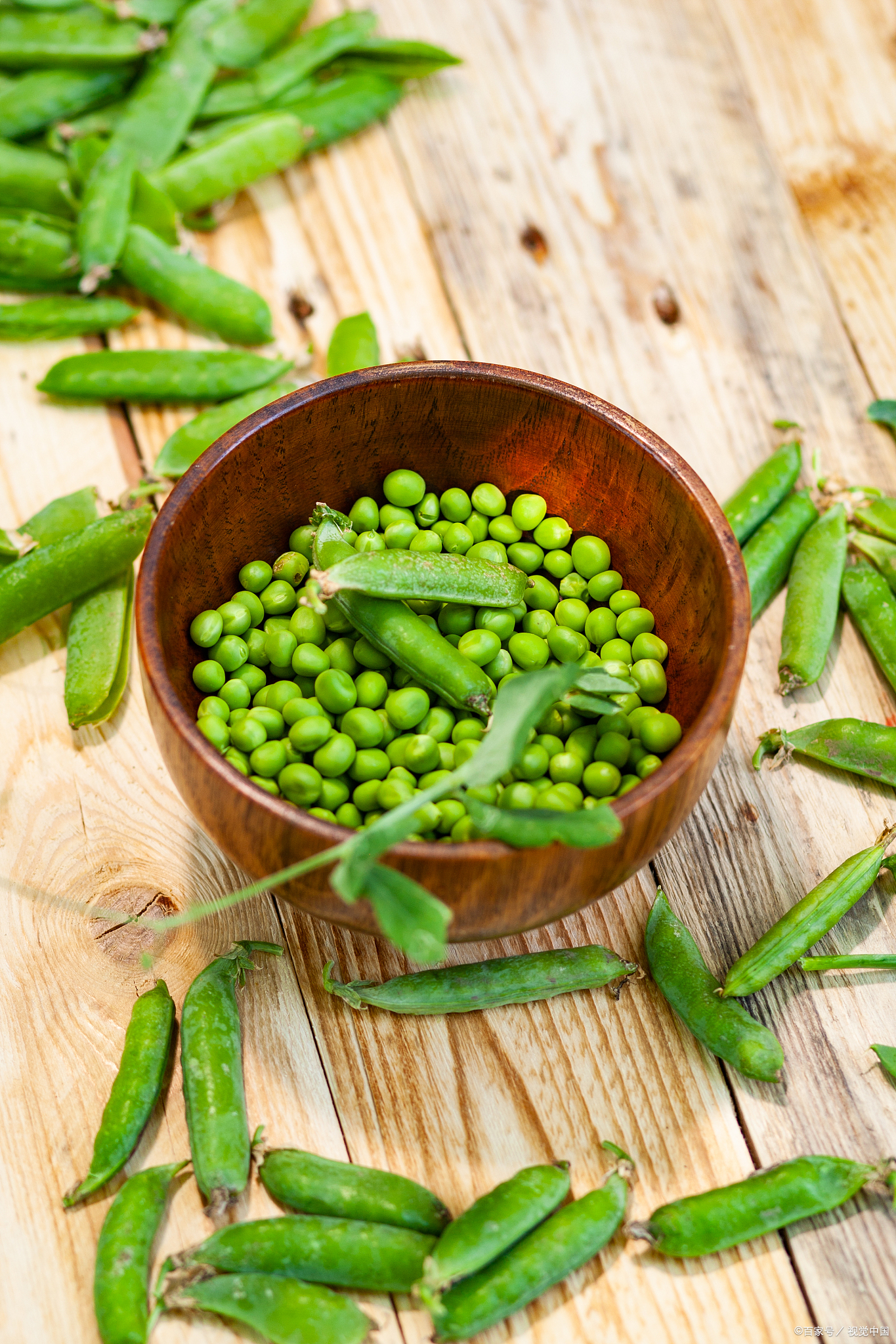 怎么大家都那么爱吃青麦仁呢