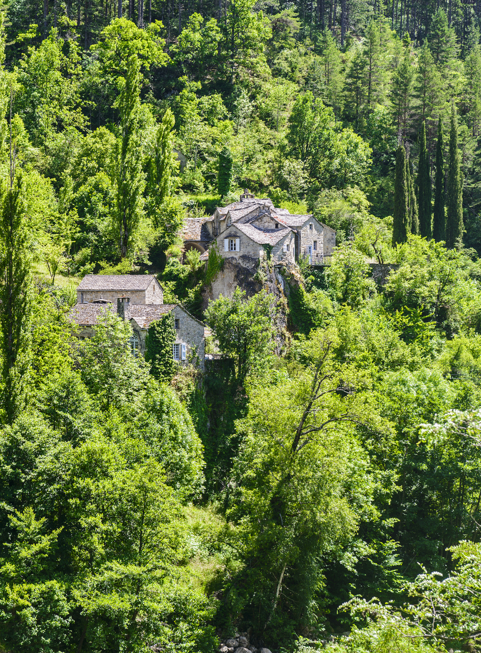 莫干山以竹海,云海,瀑布,古村落著称,是夏季避暑的好去处.